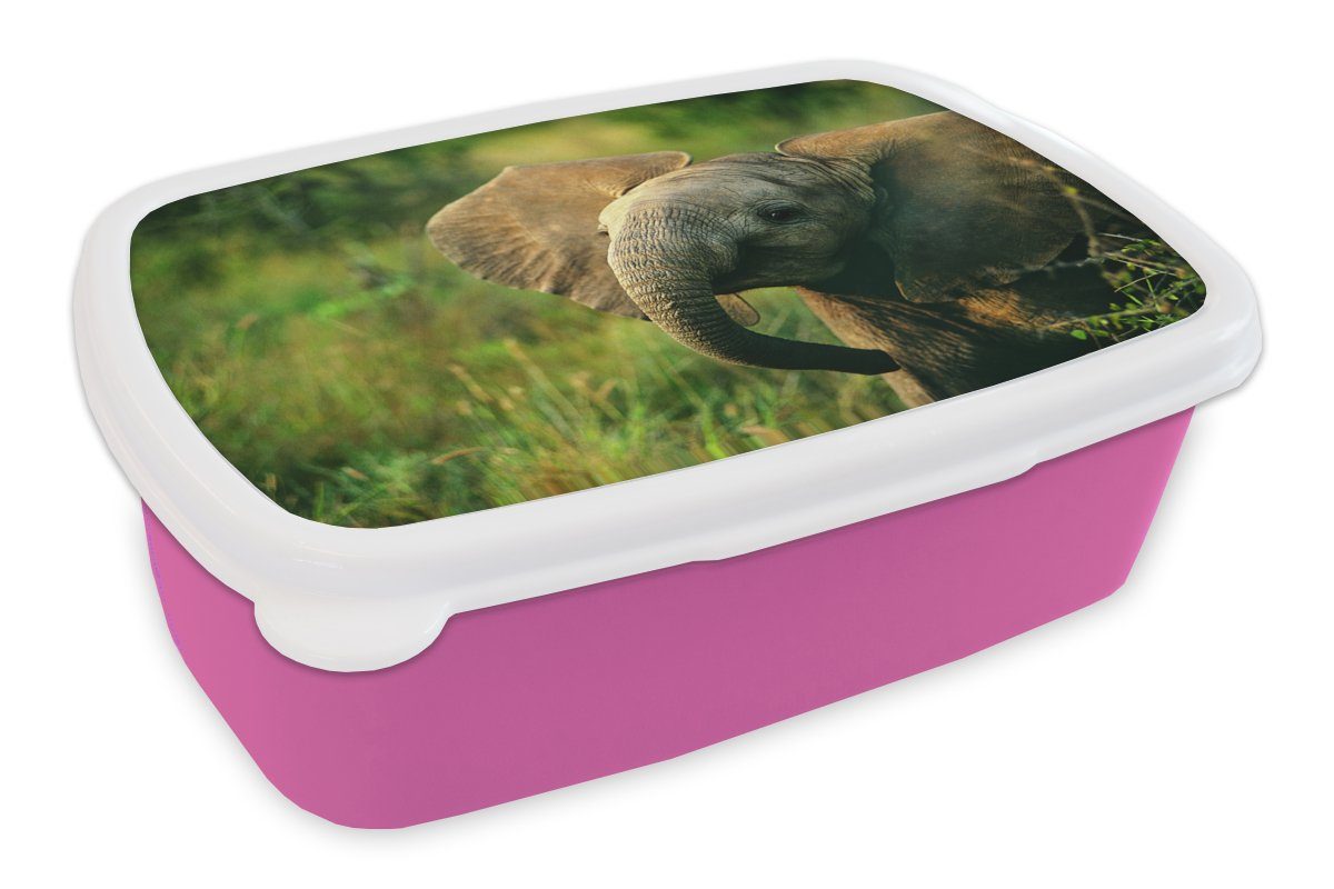 MuchoWow Lunchbox Elefant - Grün - Tiere - Natur, Kunststoff, (2-tlg), Brotbox für Erwachsene, Brotdose Kinder, Snackbox, Mädchen, Kunststoff rosa