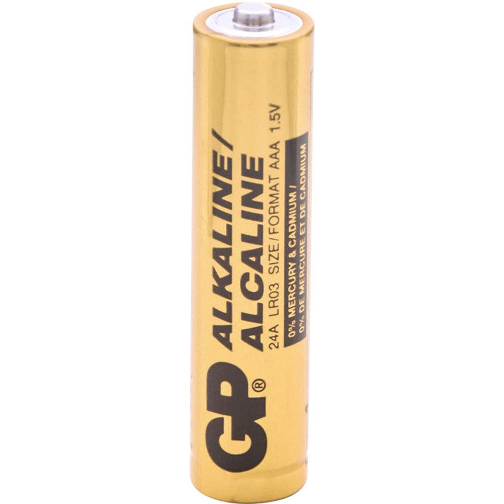 Gp GP GPIND24AB Micro (AAA)-Batterie Alkali-Mangan 1.5 V 1000 St. Batterie