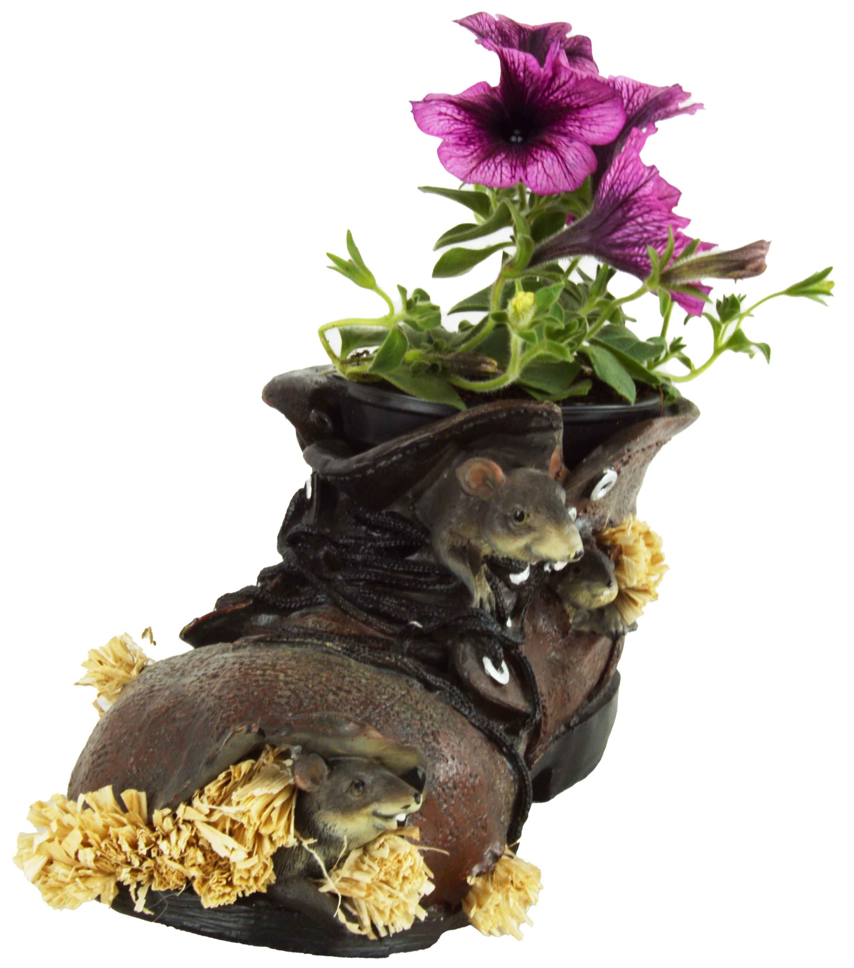 Eurosouvenir Pflanzkübel Bezaubernder Pflanzschuh - 2er günstig online kaufen