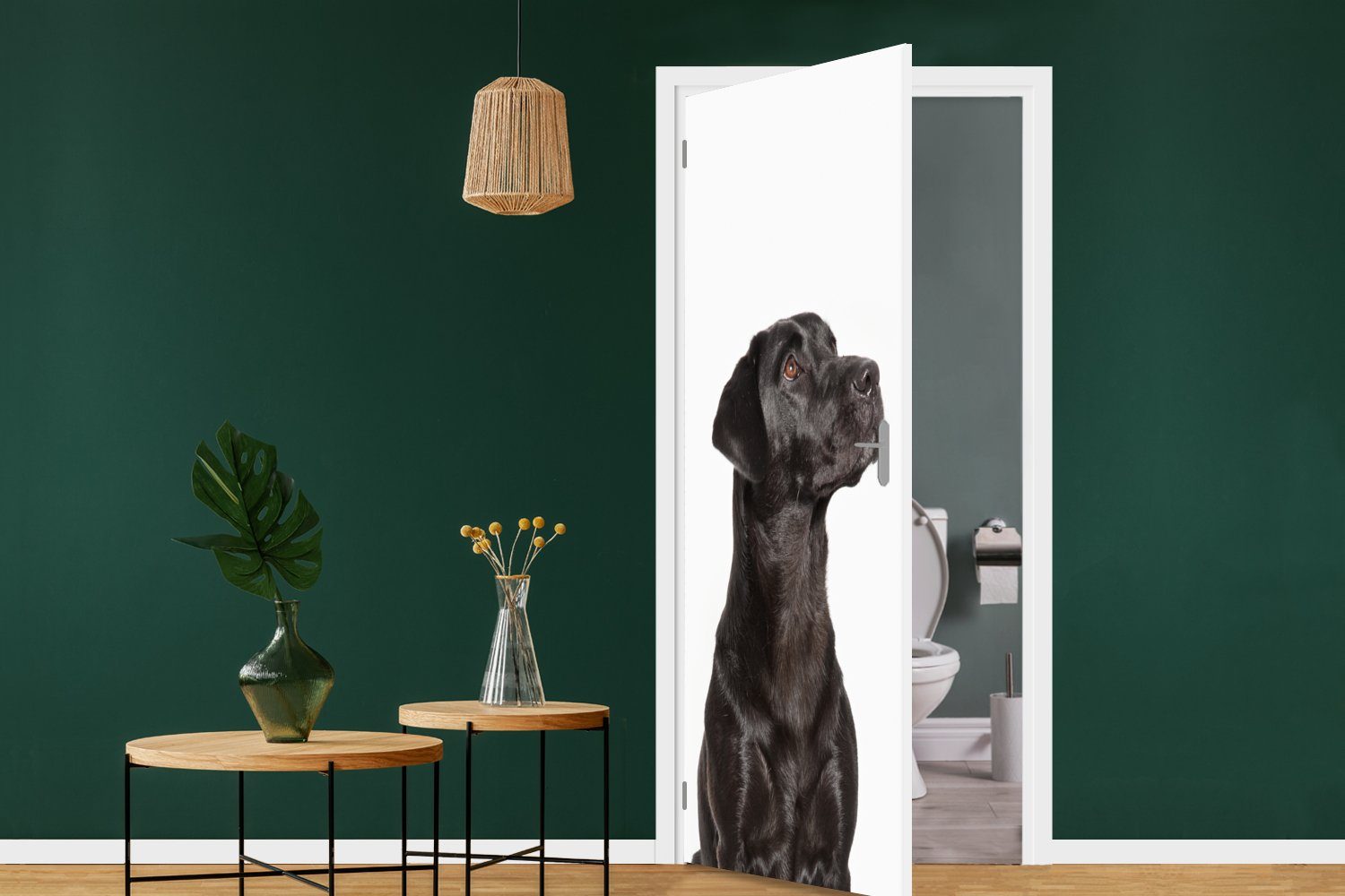 MuchoWow Türtapete Hunde schauen auf, Tür, St), für Türaufkleber, Fototapete cm Matt, (1 75x205 bedruckt
