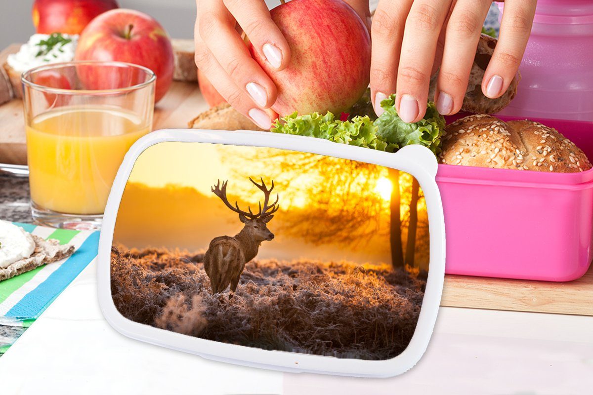 Kunststoff Kinder, Brotbox Sonnenuntergang, (2-tlg), - - Mädchen, Erwachsene, für Lunchbox Kunststoff, Brotdose rosa MuchoWow Winter Hirsche Snackbox,