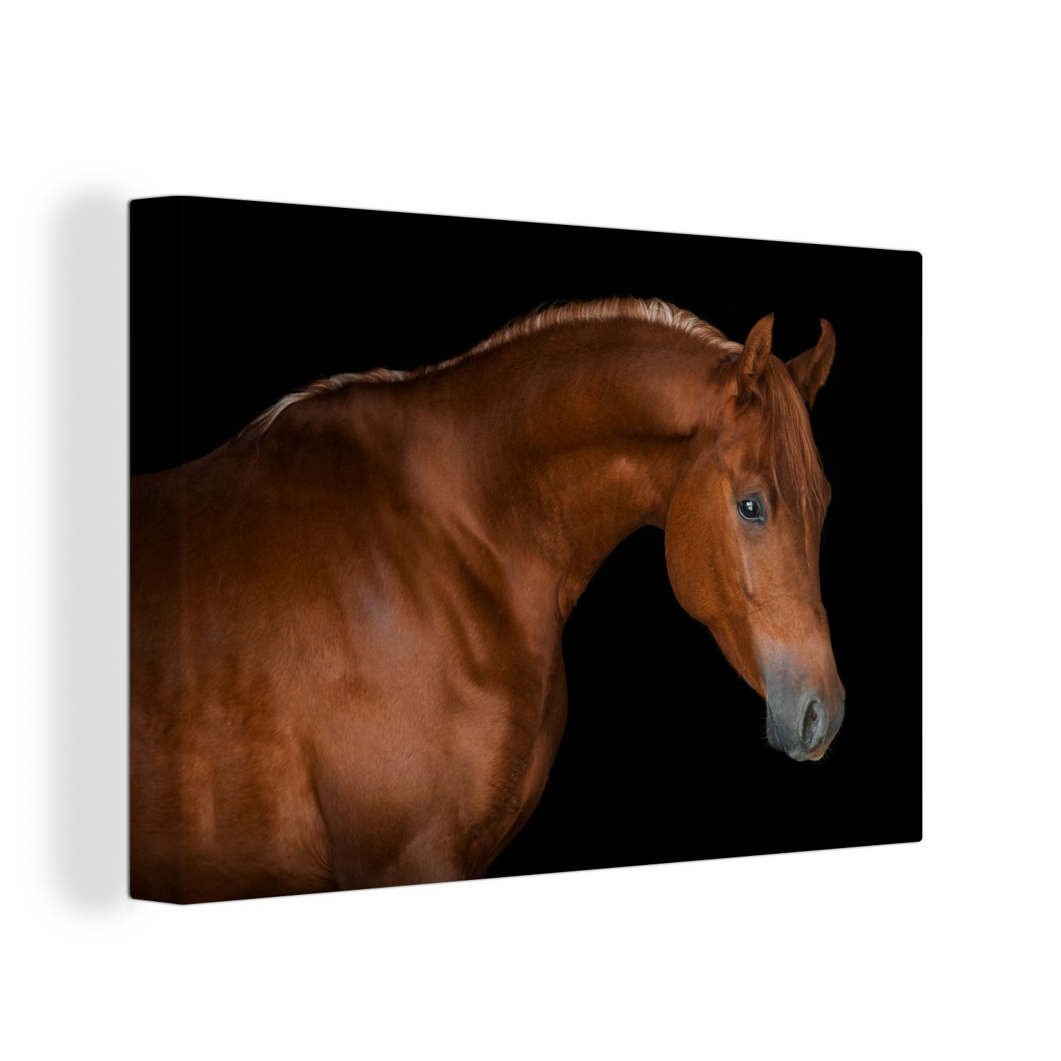 OneMillionCanvasses® Leinwandbild Pferd - Schwarz - Braun, (1 St), Wandbild Leinwandbilder, Aufhängefertig, Wanddeko, 30x20 cm