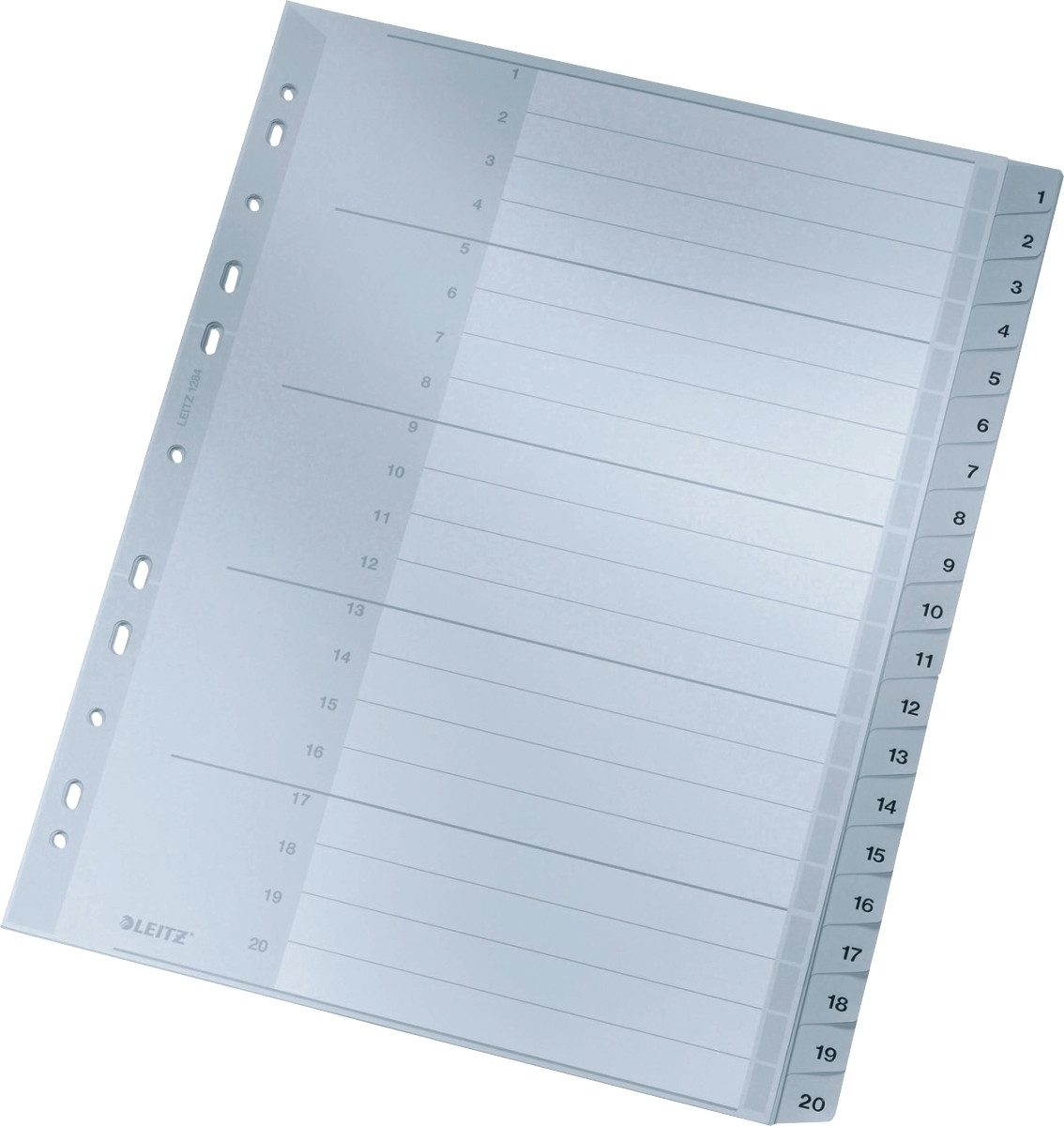 LEITZ Aktenordner Register A4 1-20 PP grau mit Deckblatt