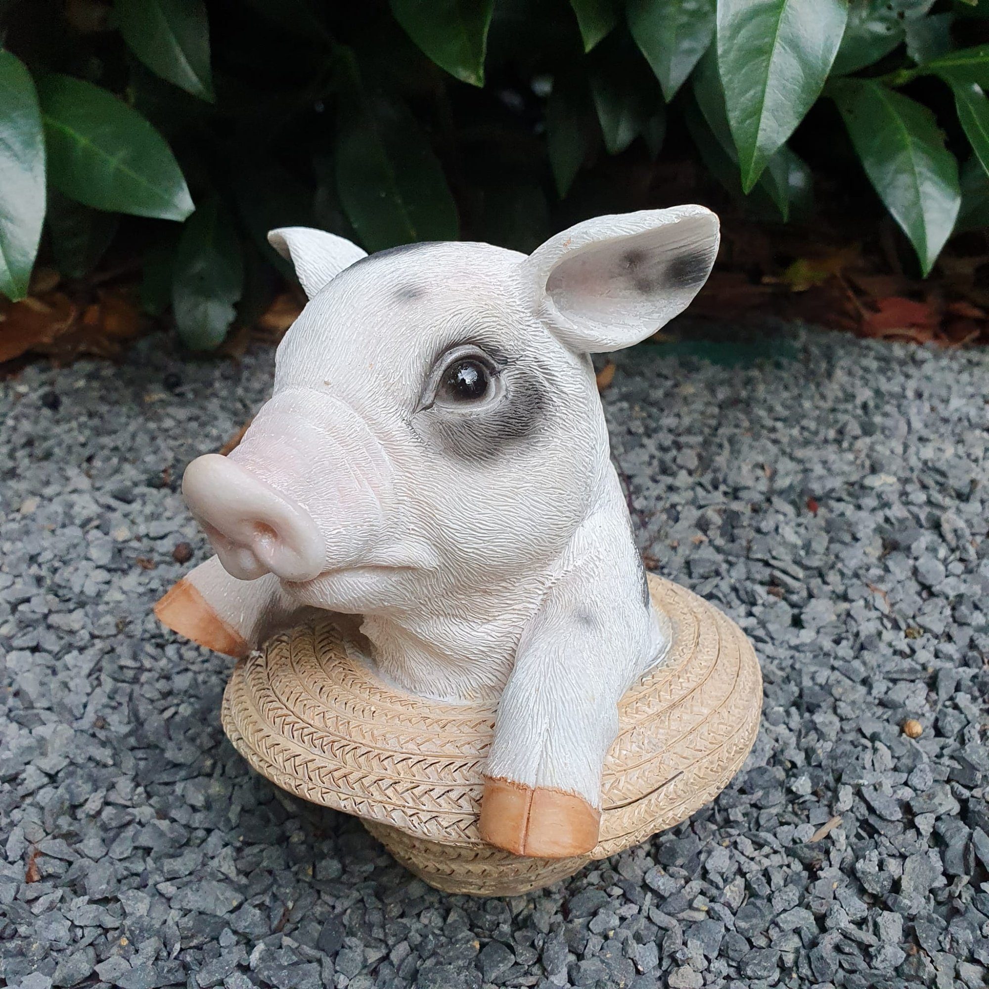 Aspinaworld Gartenfigur Schweine Figur im Hut 13 cm wetterfest