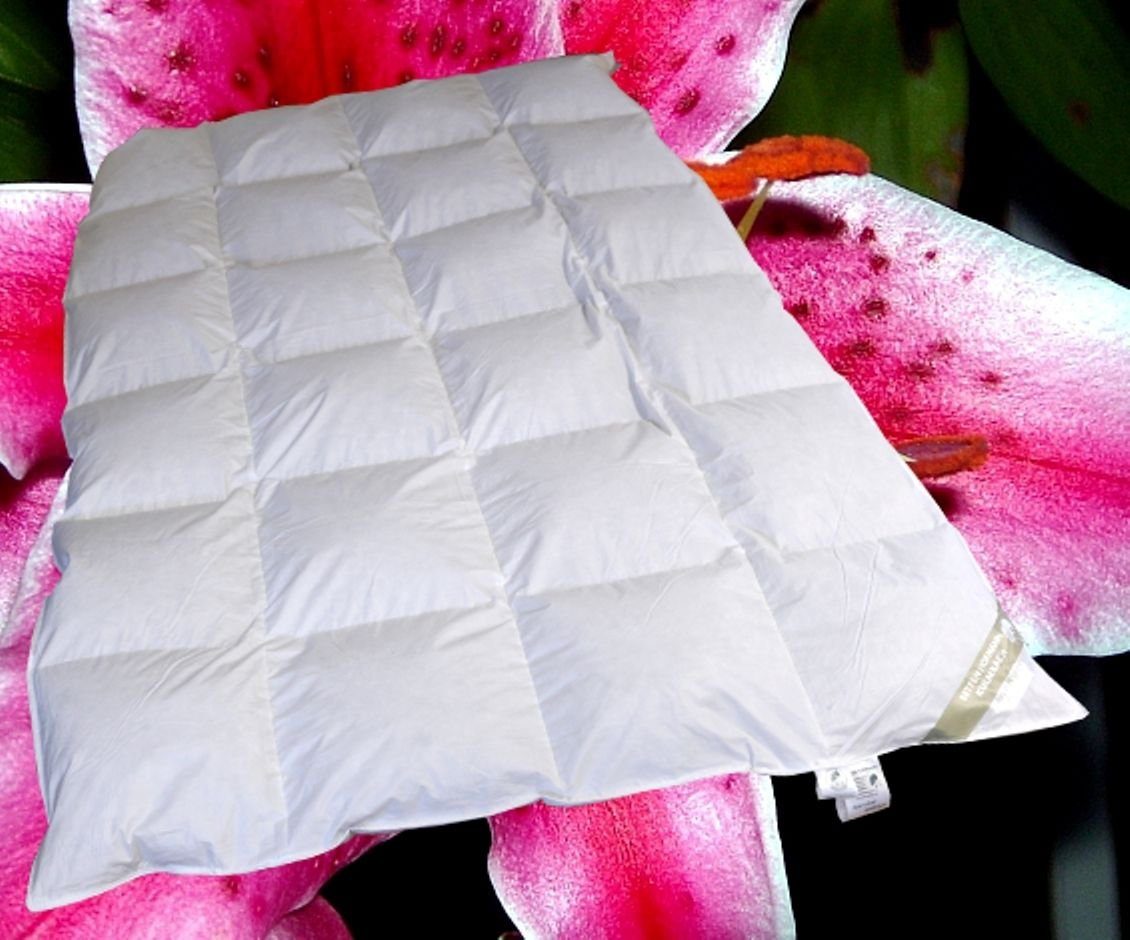 Betten Hofmann 4-Jahreszeitenbett Betten Hofmann Canada günstig online kaufen