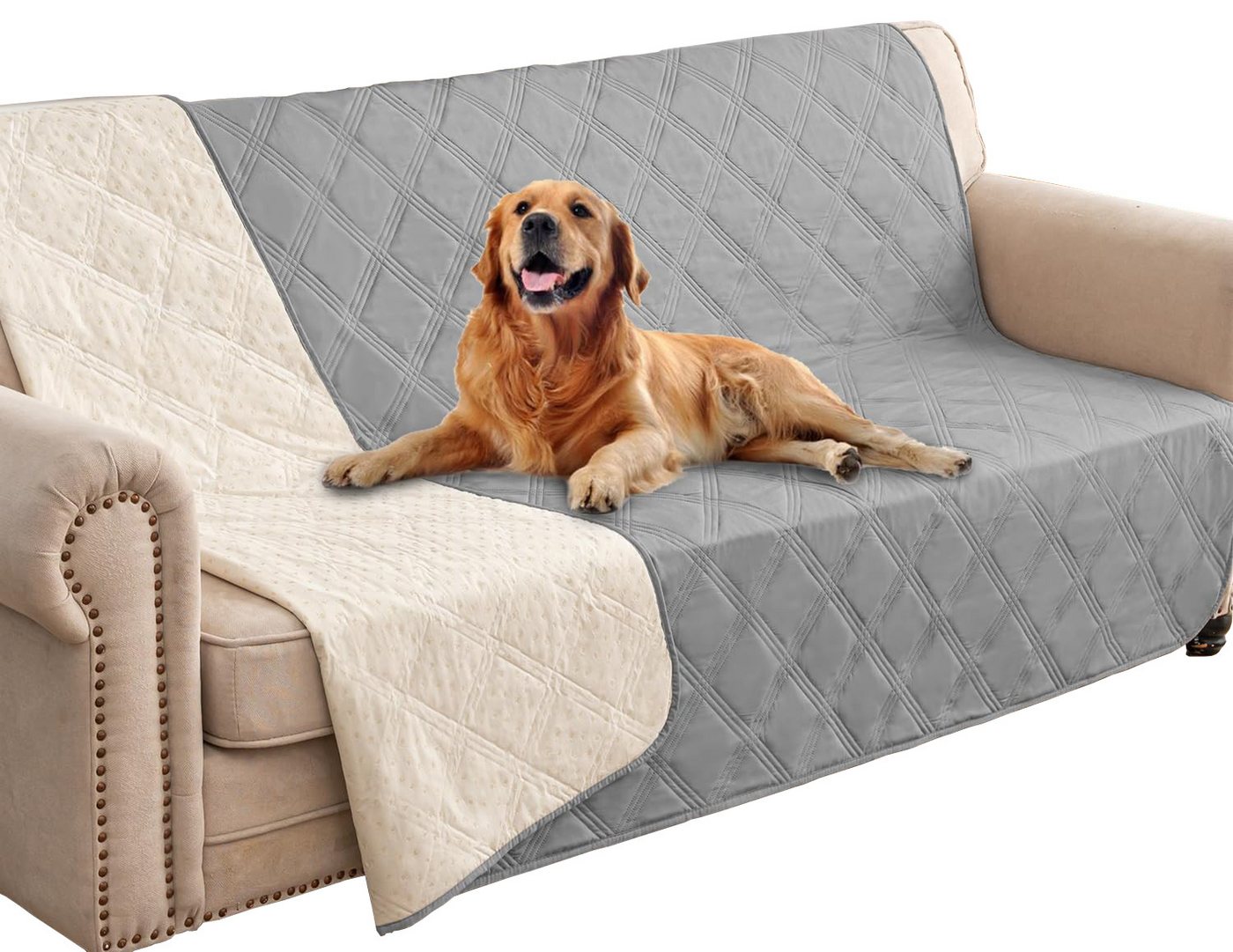 Ledander Hundematte Wasserdichte Hundedecke mit Anti-Rutsch Unterseite–Haustier, Schutzdecke für Sofa, Bett & Couch–Kratzfeste Hundematte & Möbel