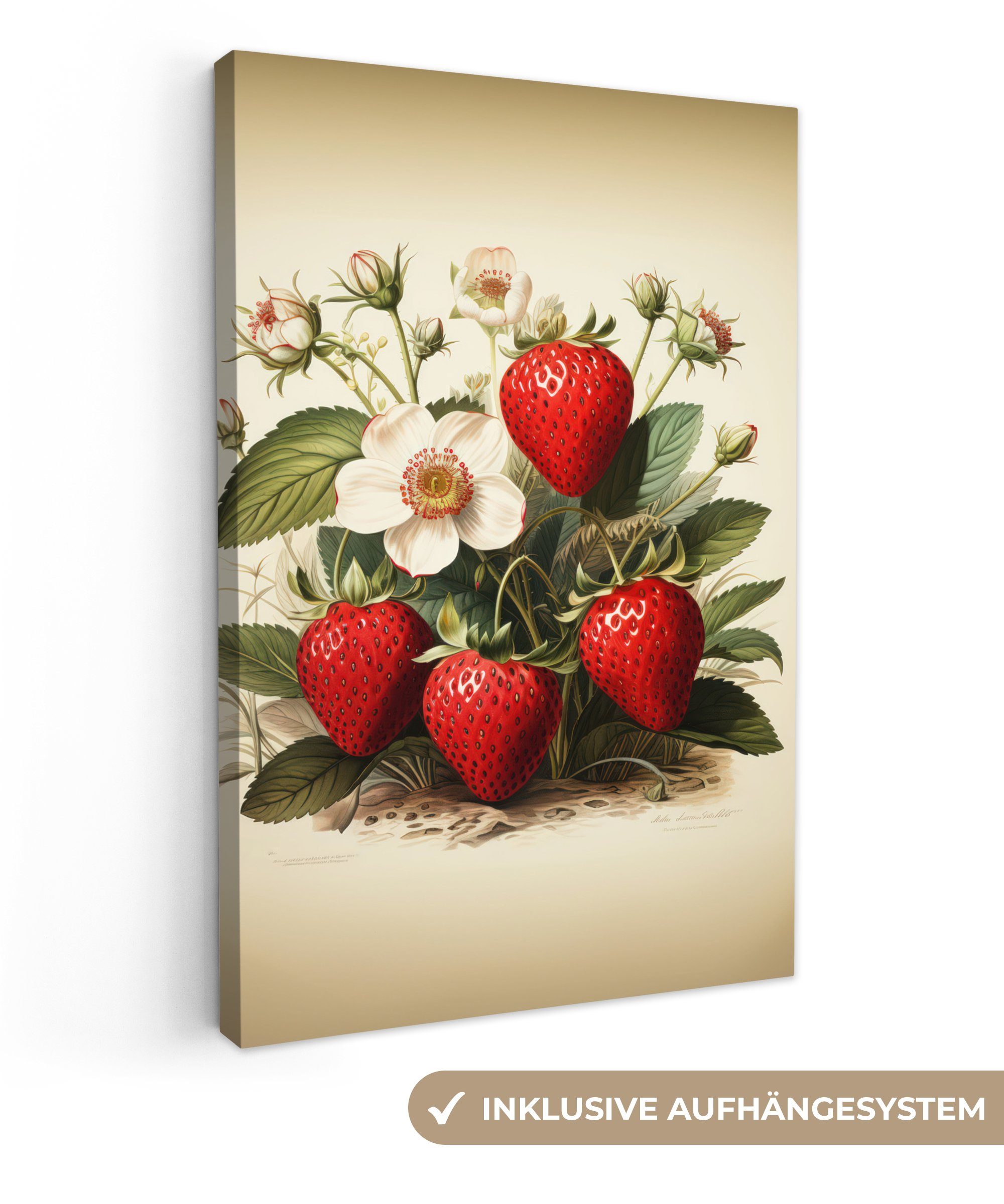 OneMillionCanvasses® Leinwandbild Vintage - Erdbeere - günstig online kaufen