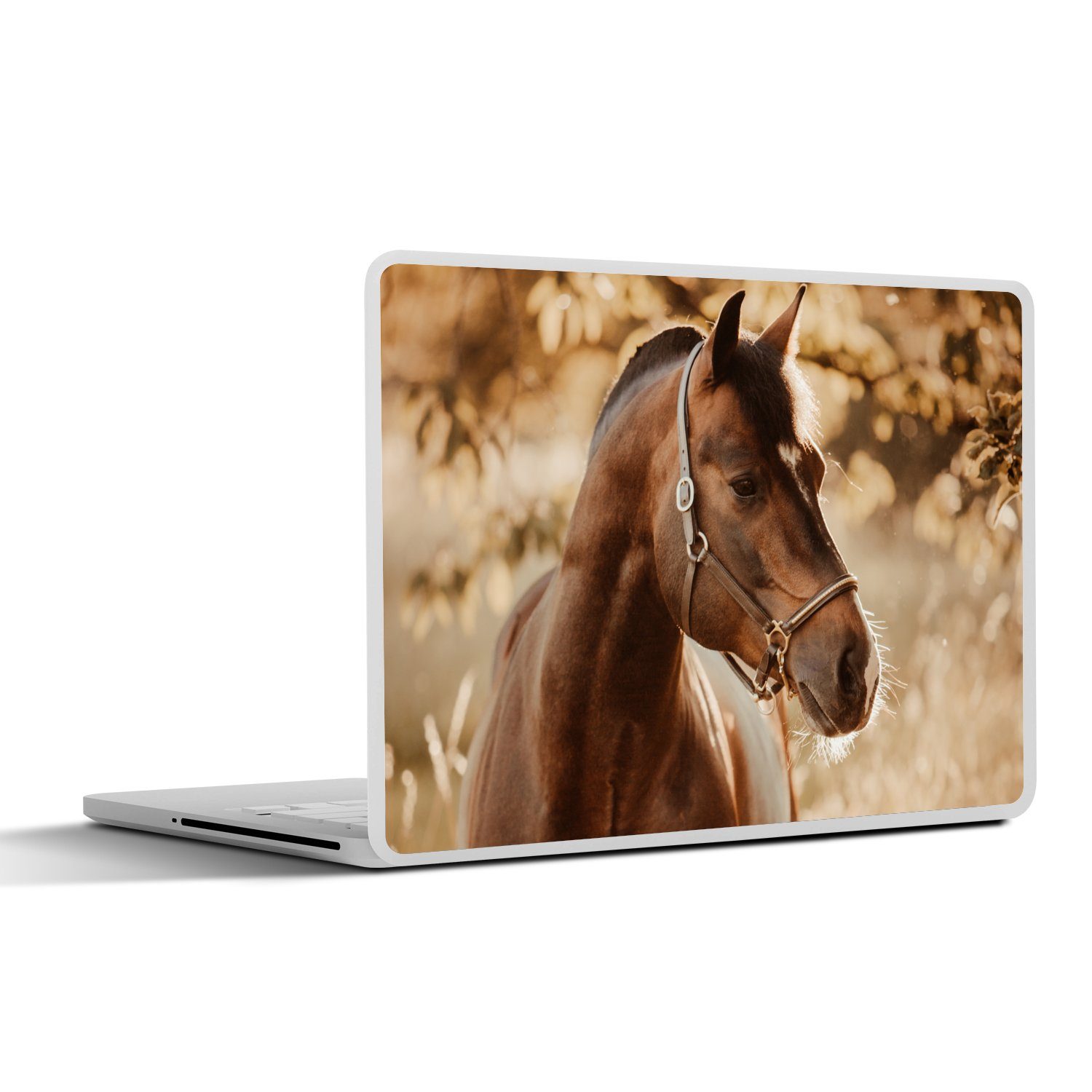 MuchoWow Laptop-Aufkleber Pferd - Sonne - Porträt - Natur - Braun, (1tlg), Laptop Folien Cover, Aufkleber, Sticker, Schutz vor Kratzern, 30x21 cm