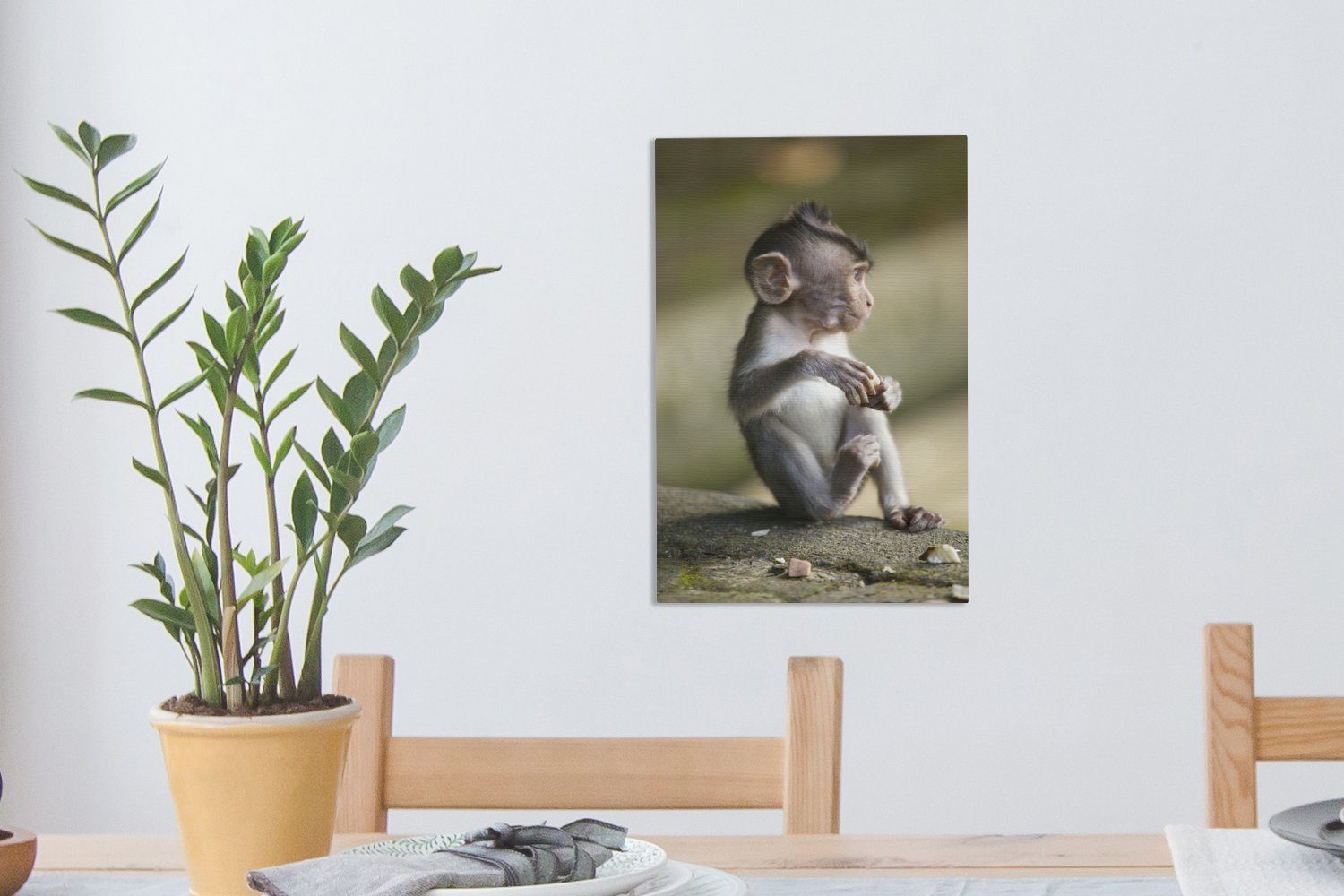 bespannt (1 Gemälde, Felsen, 20x30 einem OneMillionCanvasses® Zackenaufhänger, Ein auf fertig Leinwandbild cm Leinwandbild sitzt St), Affenbaby inkl.