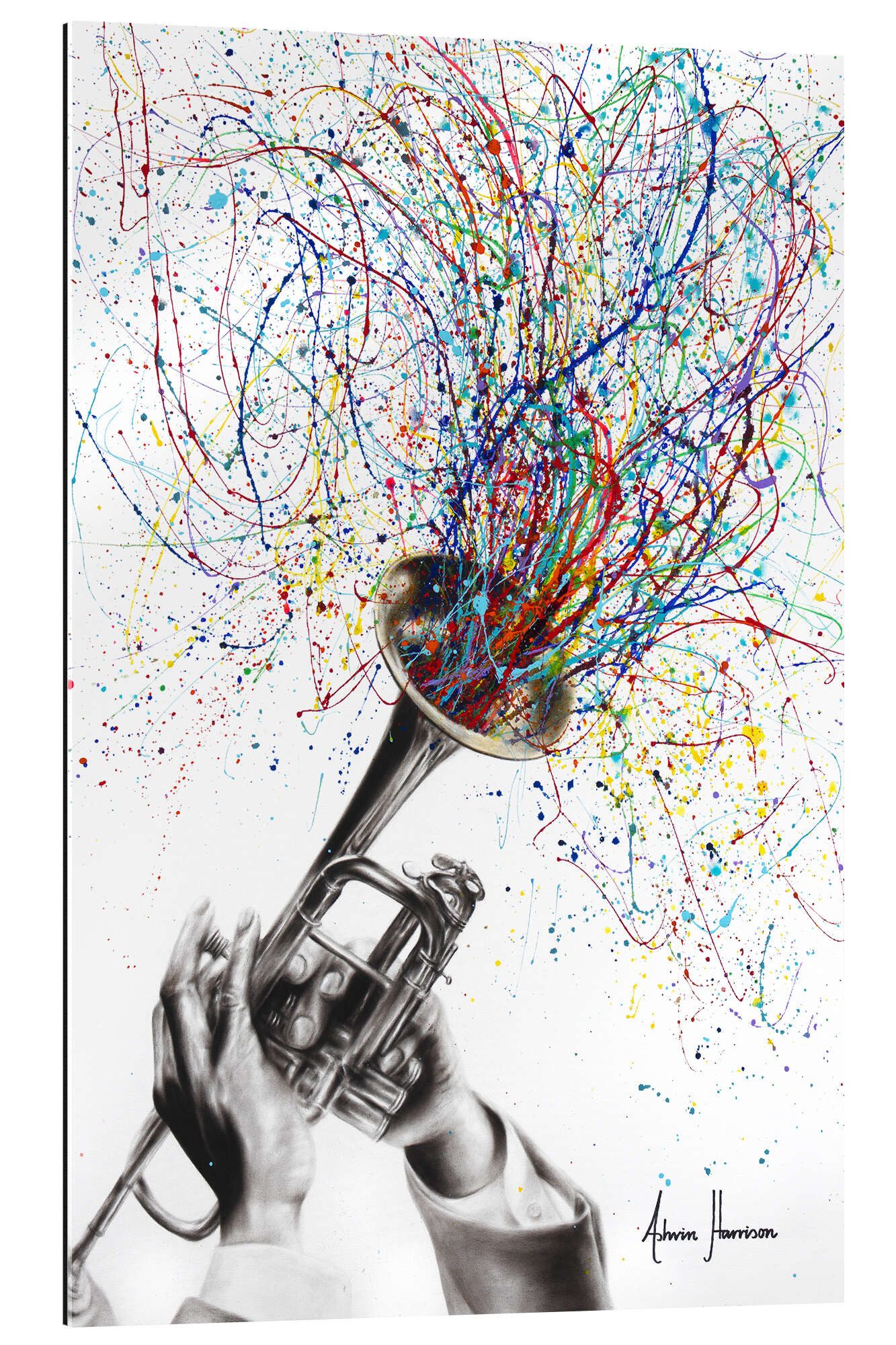 XXL-Wandbild Ashvin Harrison