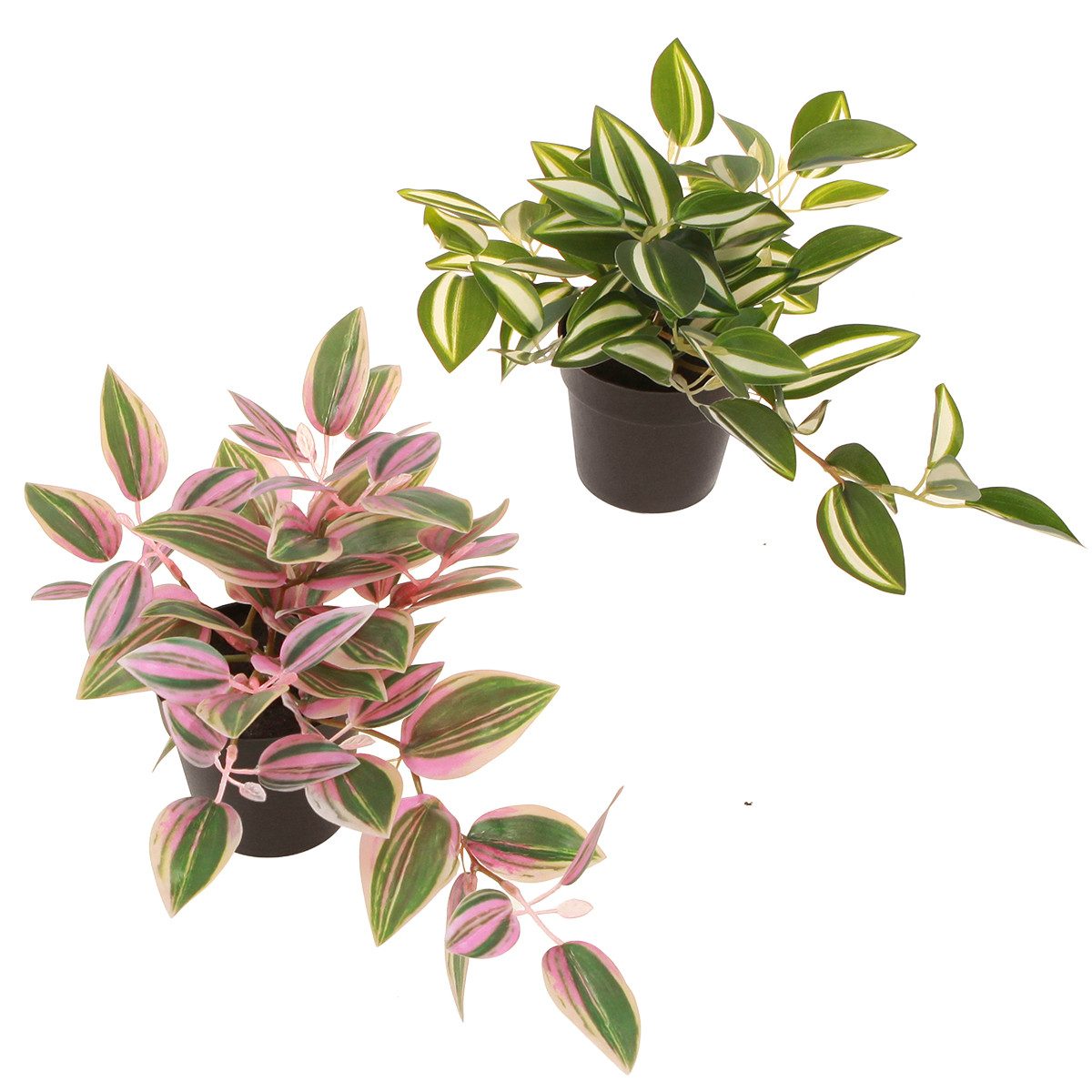 Künstliche Zimmerpflanze Tradescantia Künstliche Zimmerpflanze 2er günstig online kaufen