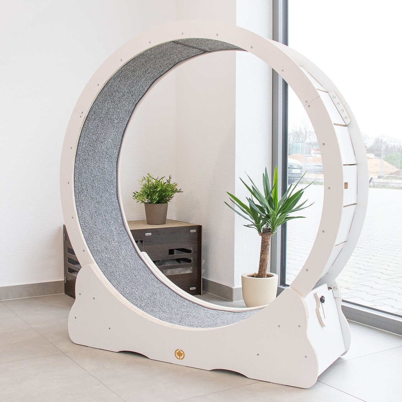 Canadian Cat Company Tier-Aktivitätsspiel Cat in Motion 2.0 - Tierlaufrad, günstig online kaufen