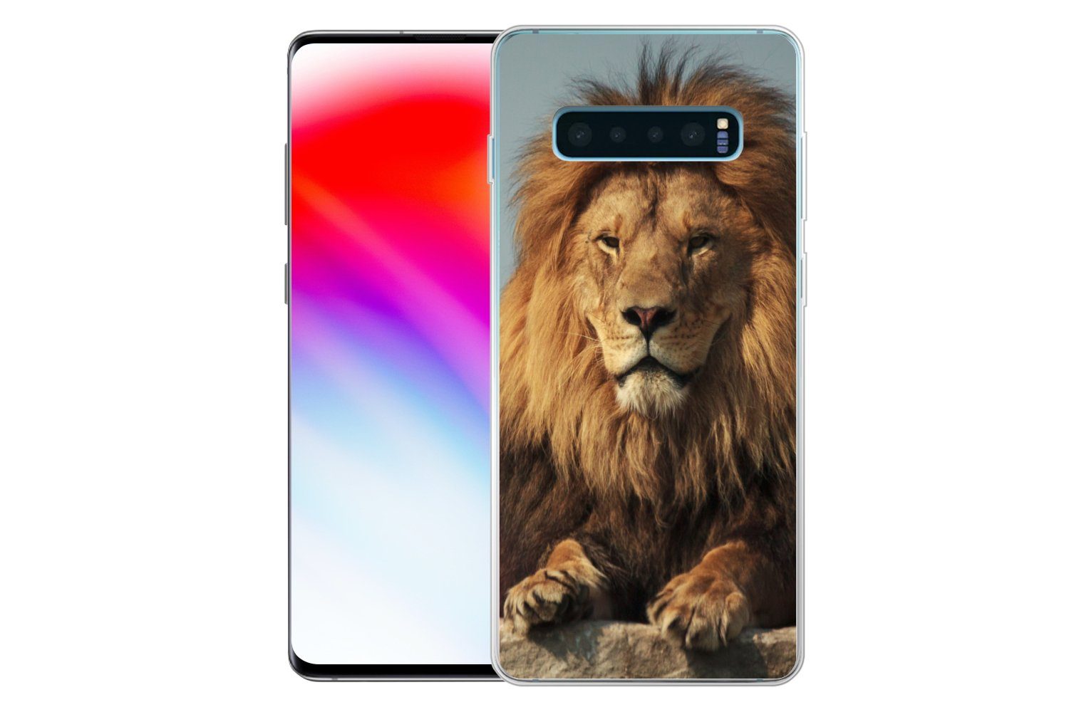 MuchoWow Handyhülle für Samsung Galaxy S10 Plus Löwe - Felsen - Porträt, Phone Case, Silikon, Schutzhülle Dünn