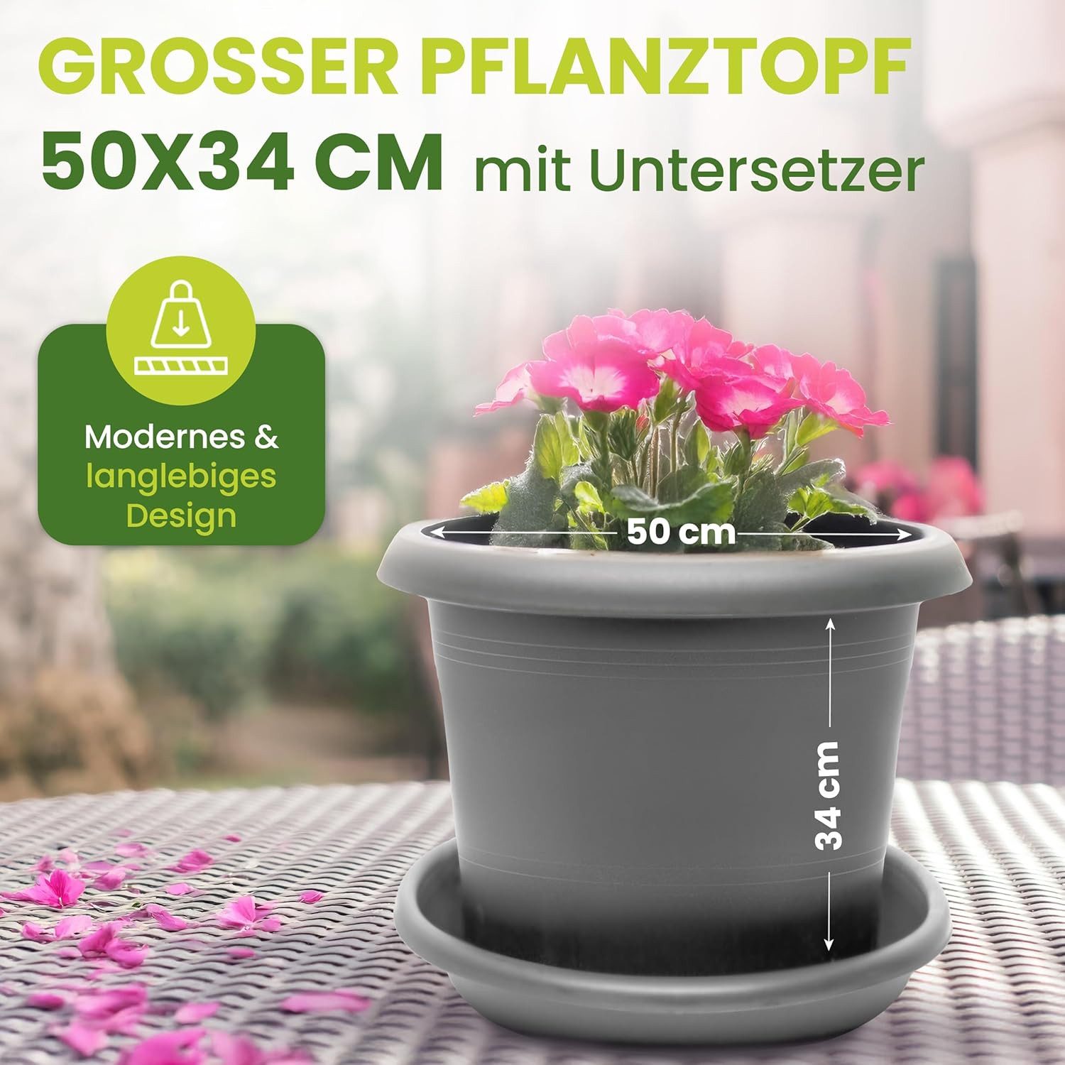 Centi Pflanzkübel XXL Blumentöpfe Ø 50 günstig online kaufen