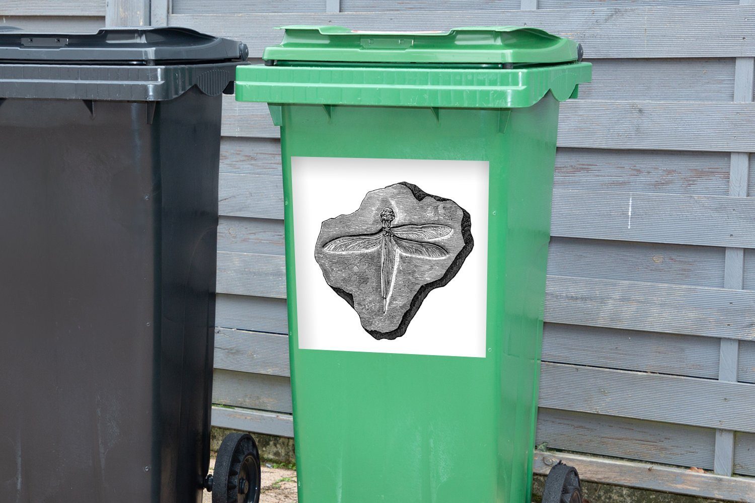 MuchoWow Wandsticker Eine St), Mülltonne, versteinerten (1 Stein Illustration Mülleimer-aufkleber, einer Abfalbehälter Sticker, Libelle einem in Container