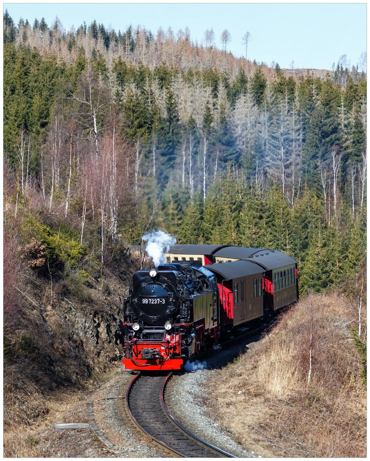 Wallario Poster, Dampflok im Waldtal, in verschiedenen Ausführungen