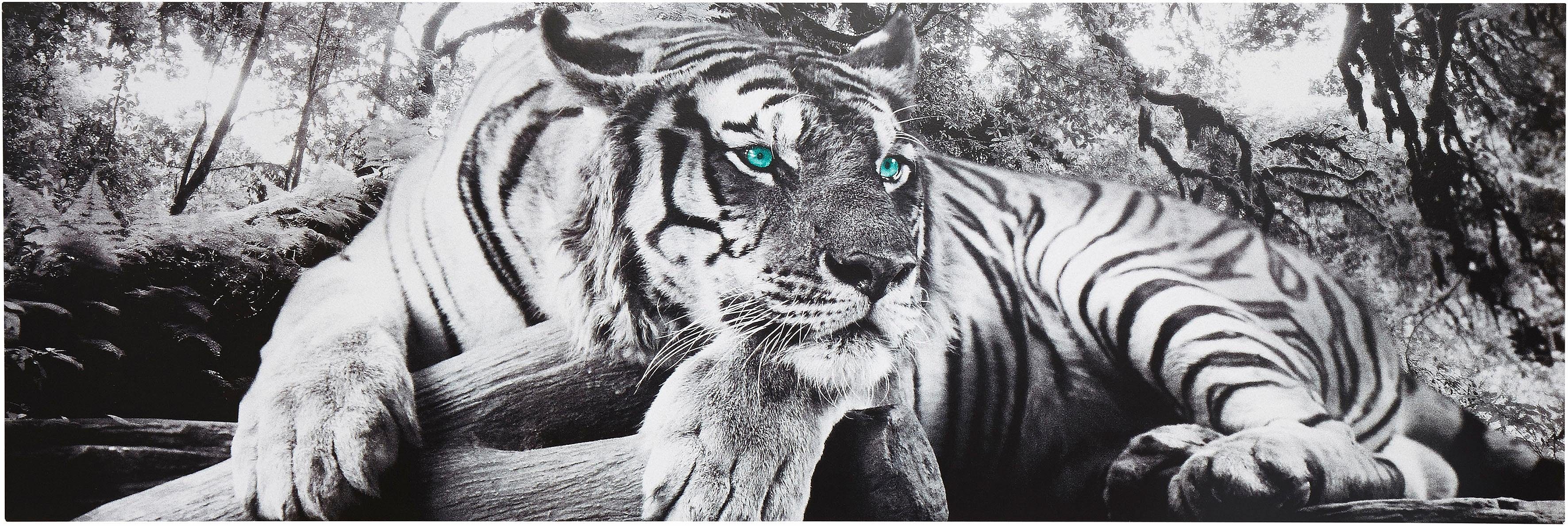 Home affaire Deco-Panel Tiger guckt dich an. € 67,08