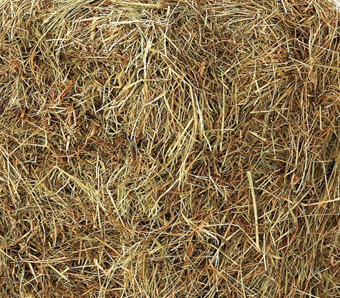 Dehner Einstreu Wiesenheuballen, schonend getrocknet, 10 kg, Heu als Nagereintreu geeignet