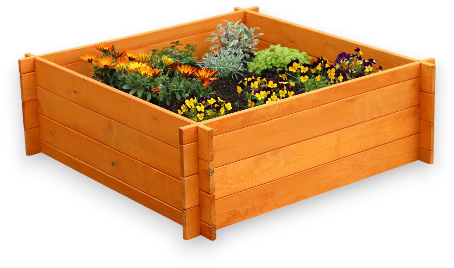 promadino Frühbeet, BxTxH: 100x100x33,5 cm