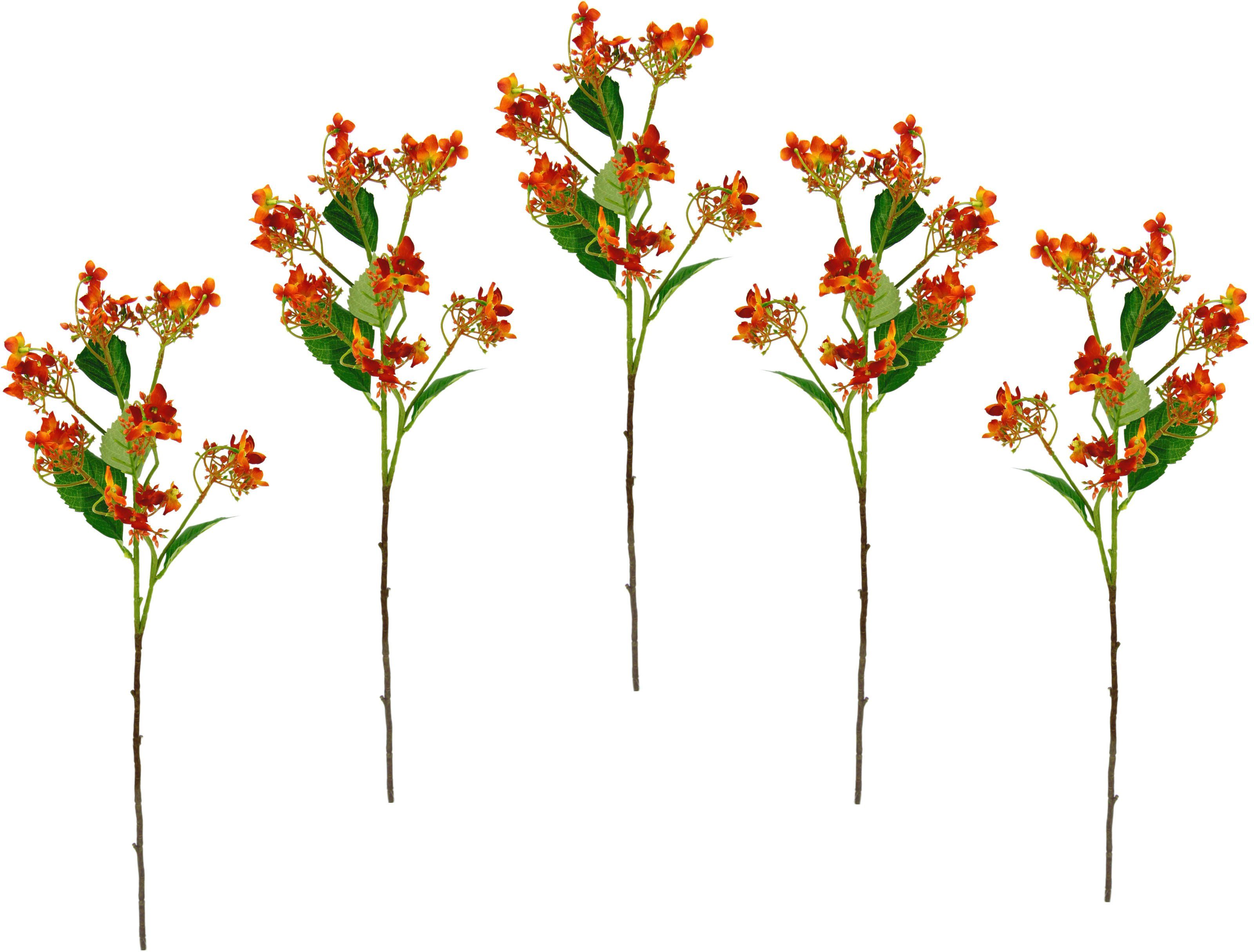 Kunstblume Blütenzweig, I.GE.A., cm, Höhe Zweig, Kunstpflanze, Dekozweig künstlicher Set 60 orange 5er
