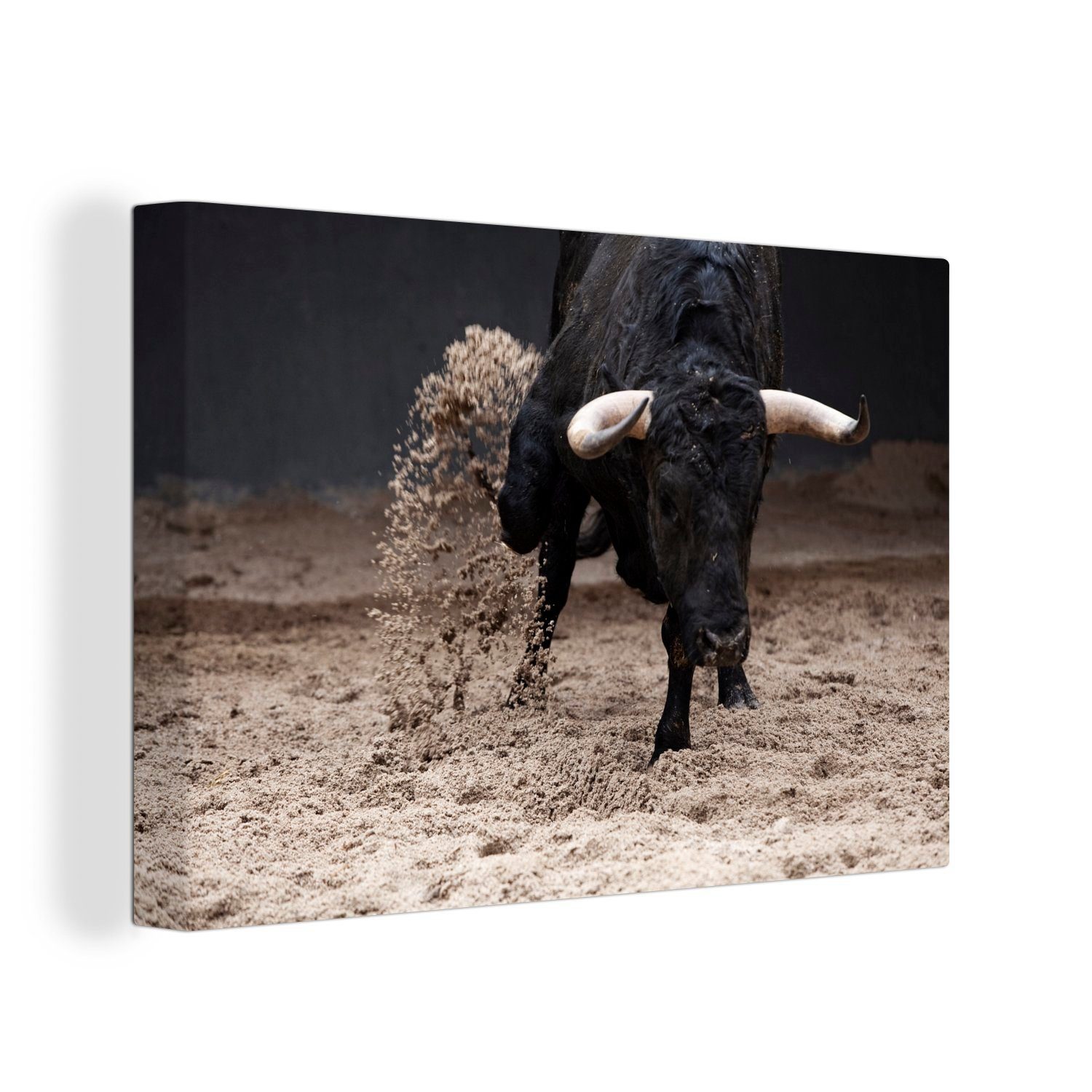 OneMillionCanvasses® Leinwandbild Ein Stier läuft im Sandkasten, (1 St), Wandbild Leinwandbilder, Aufhängefertig, Wanddeko, 30x20 cm