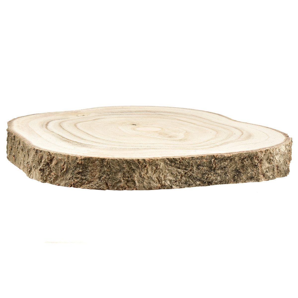 Trockenblume Baumscheibe Paulownia Ø20-25cm Natur Deko Holzscheibe, Viana, günstig online kaufen