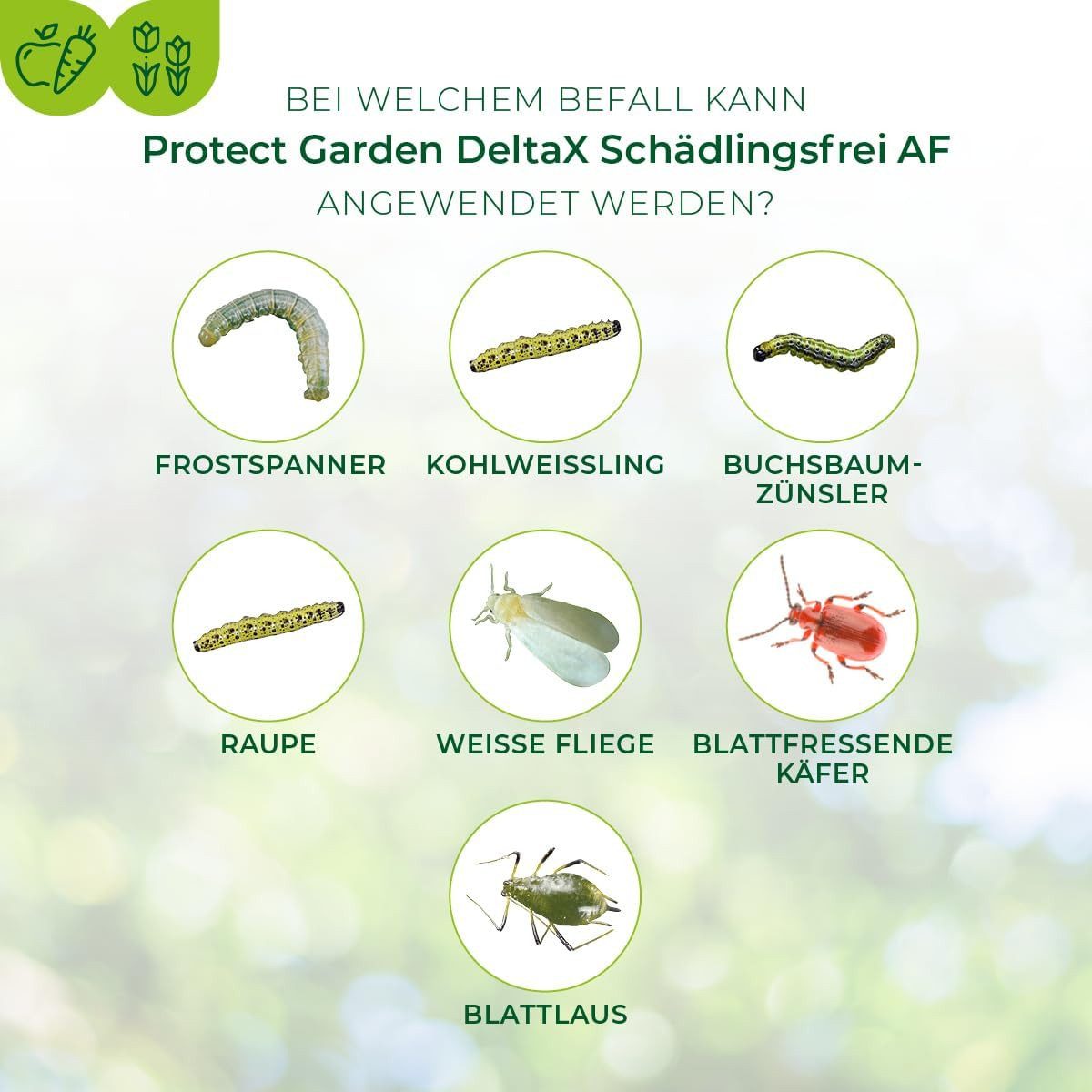 Protect Garden Insektenspray Protect Garden DeltaX Schädlingsfrei AF 1 Liter – Bild 3 von 5