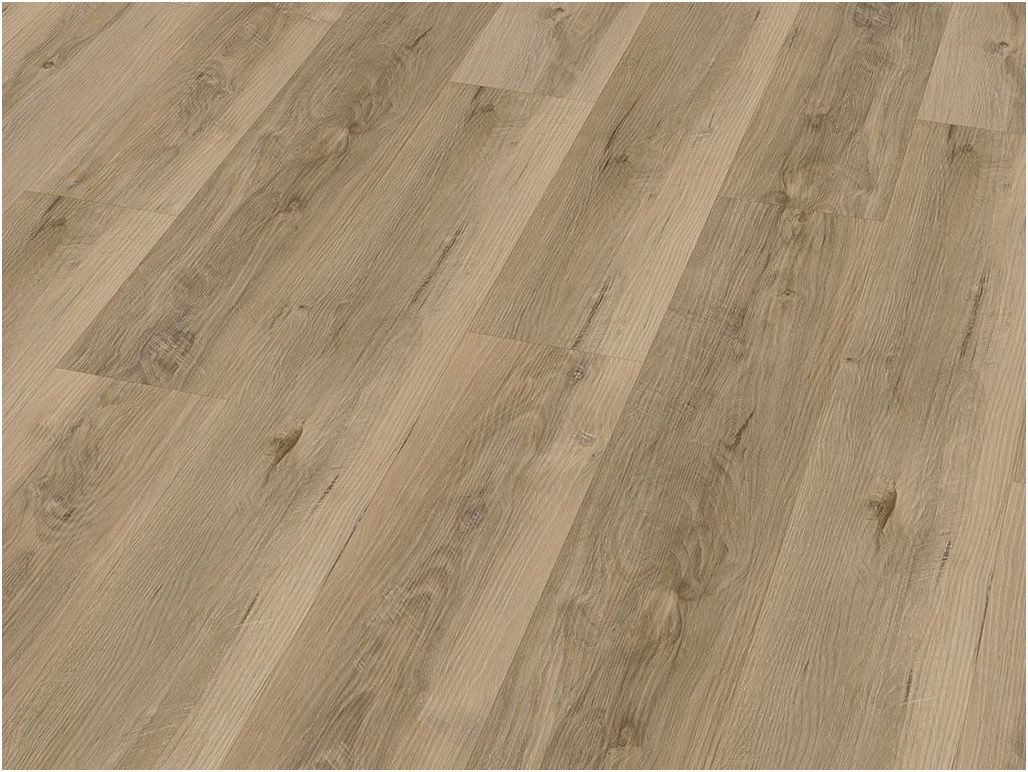 Check Vinylboden Klebe-Vinyl CHECK expert 2404E Heinrich Eiche Diele Standard