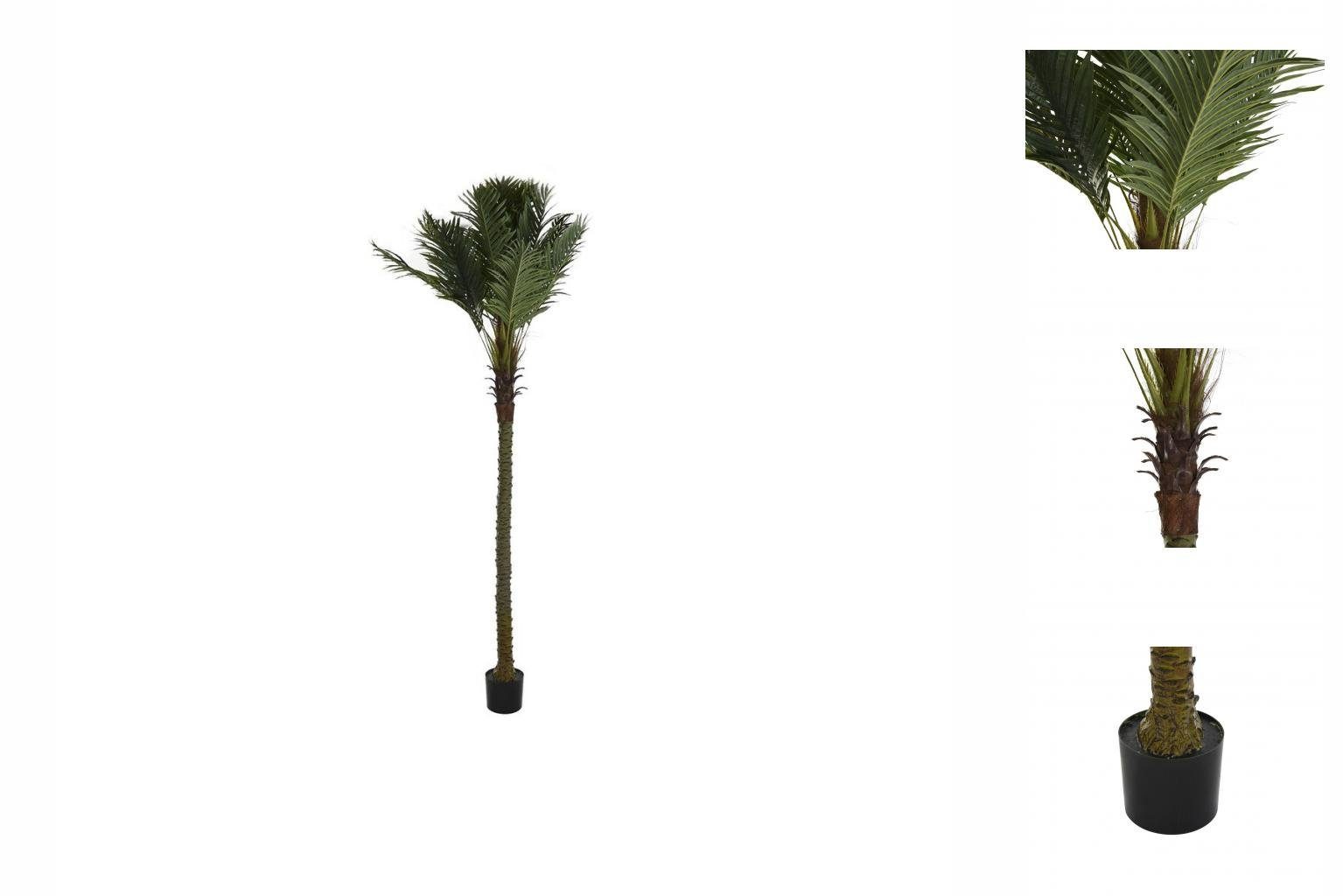 Künstliche Zimmerpflanze Baum DKD Home Decor Palme Polyester Polypropylen 100 x 100 x 250 cm, DKD Home Decor, Höhe 20 cm