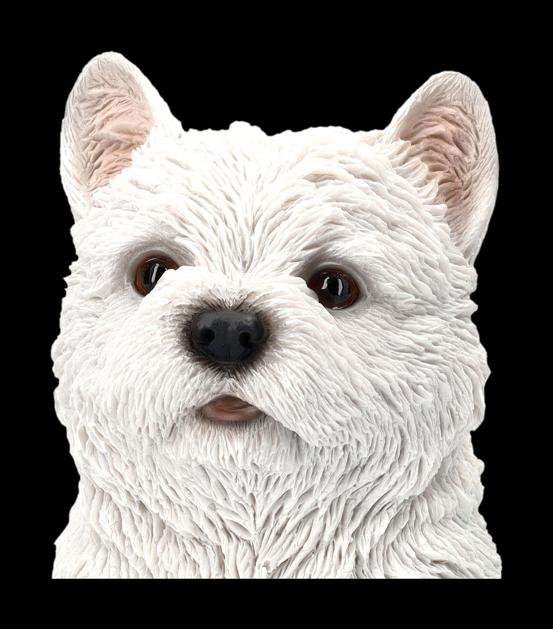 Westie Hund GmbH - Highland Welpe Shop Terrier West Dekofigur Figur Tierfigur Tierdeko Figuren -
