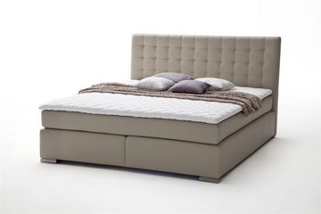 möbelando Boxspringbett Lenno, Boxspringbett Lenno mit Kunstleder muddy, Liegefläche 180x200 cm, Kopfteil gesteppt, Metallfüße gebürstet