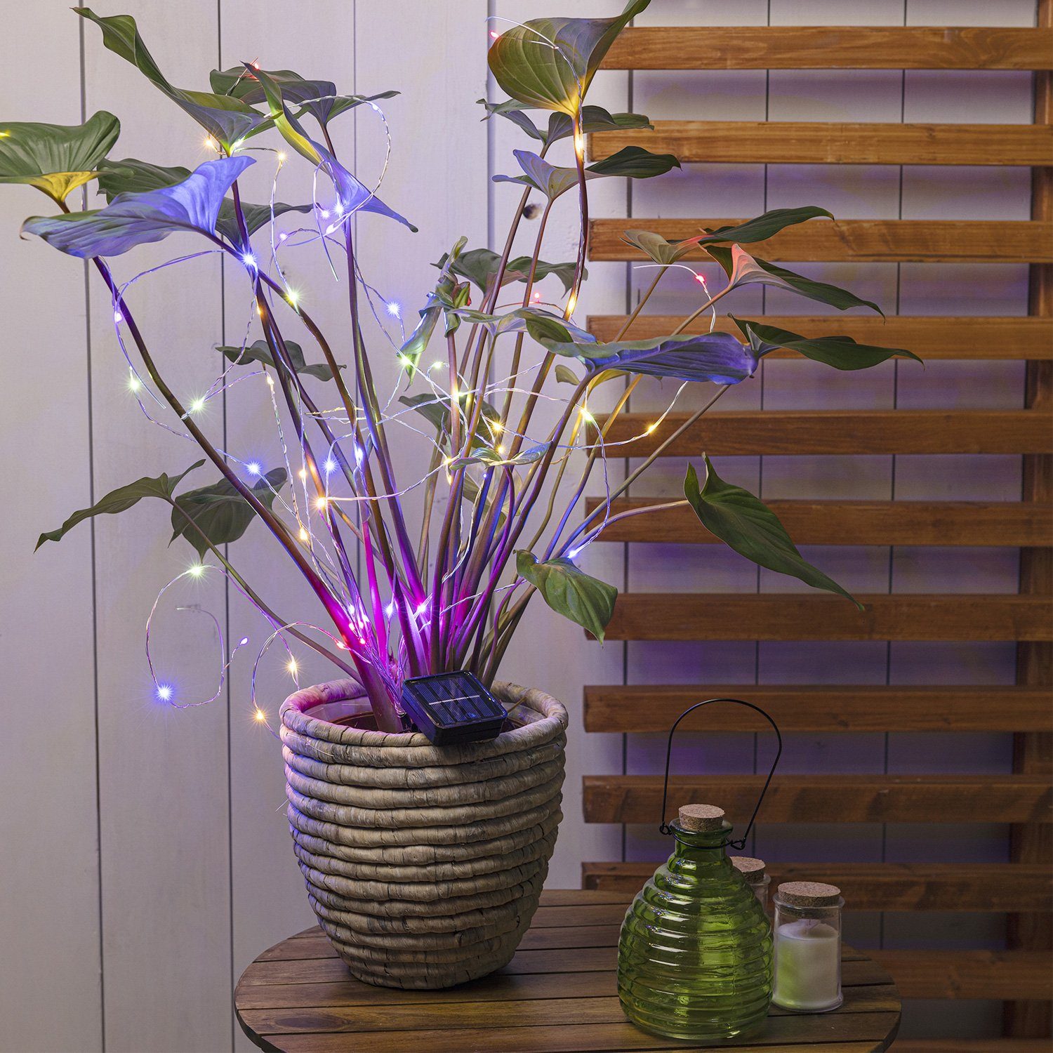 MARELIDA LED-Lichterkette LED Solar Draht Lichtbündel 80cm 10 bunte Stränge  Pflanzenbeleuchtung, 60-flammig