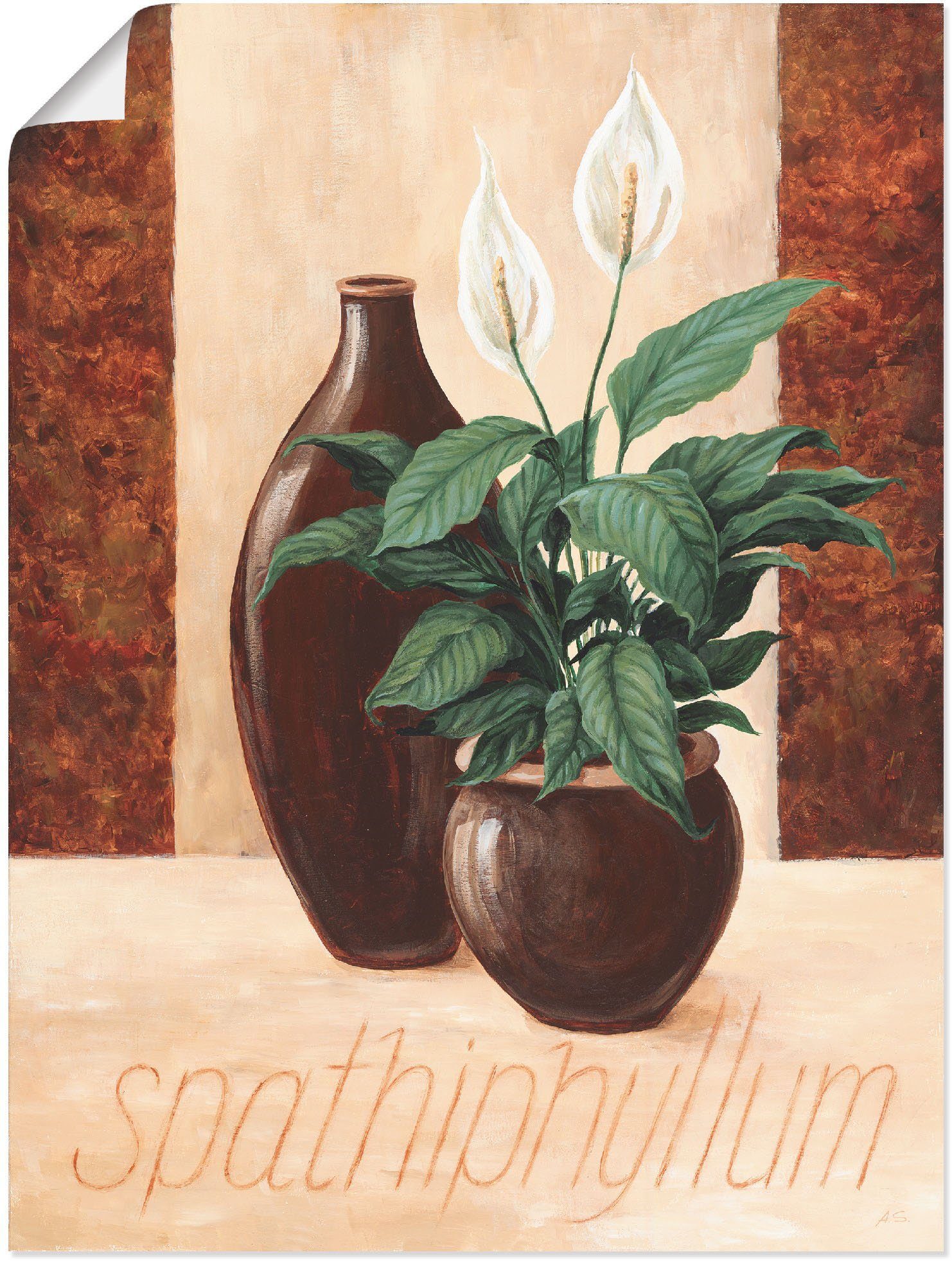 Artland Wandbild Spathiphyllum - Alubild, Einblatt, (1 oder in Wandaufkleber Pflanzenbilder Poster als Größen versch. St), Leinwandbild