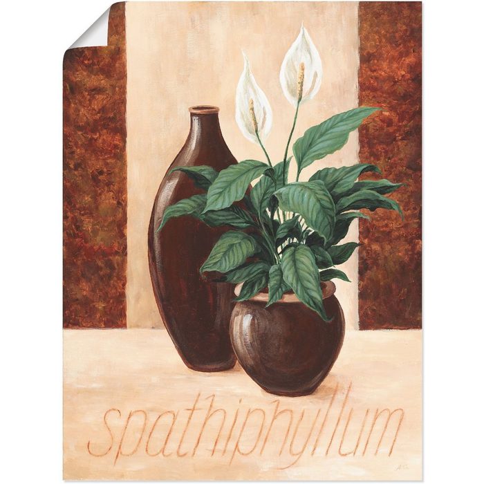 Artland Wandbild Spathiphyllum - Einblatt Pflanzenbilder (1 St) als Alubild Leinwandbild Wandaufkleber oder Poster in versch. Größen