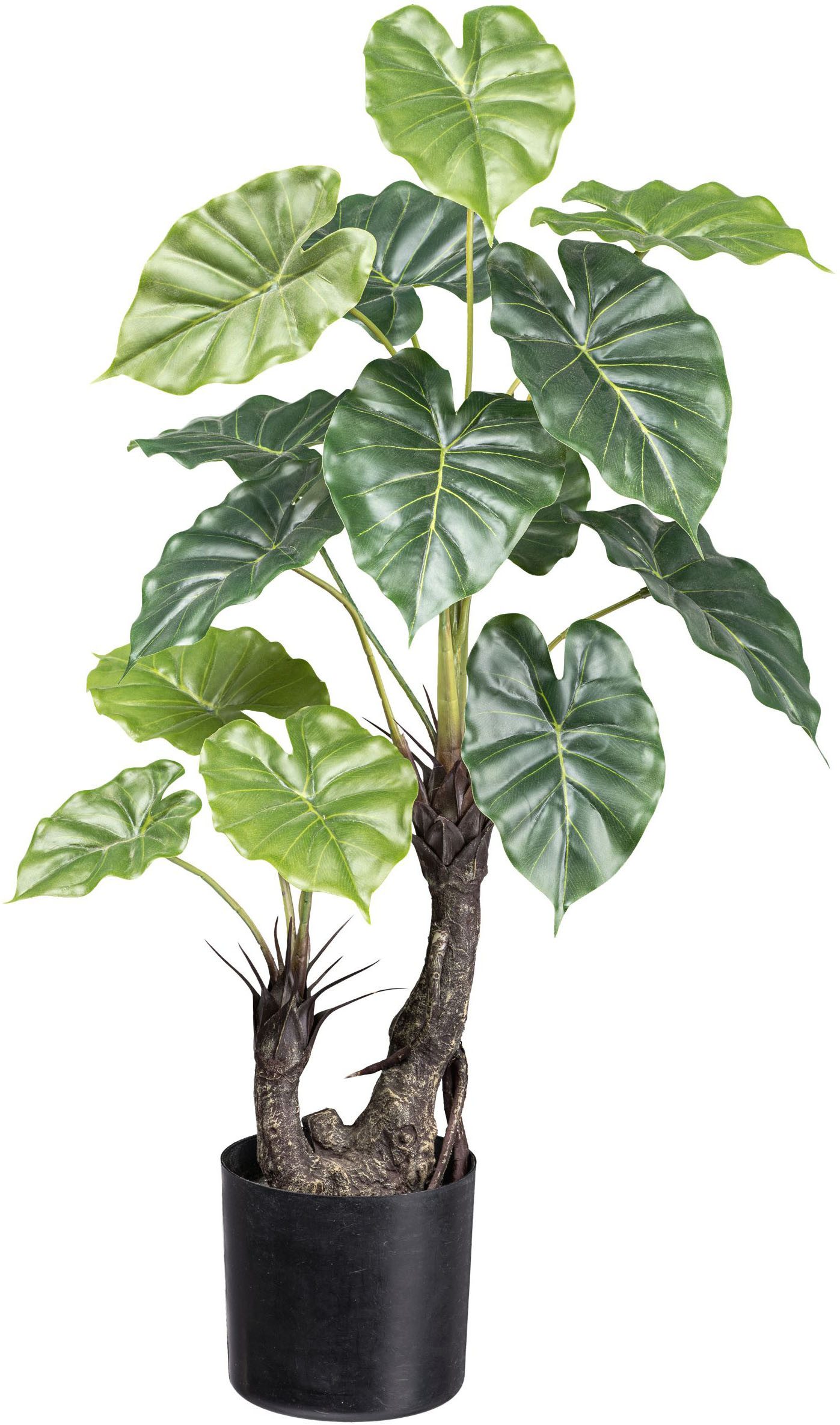 Kunstpalme Taropflanze Grünpflanze, Creativ green, Höhe 70 cm, mit großen B günstig online kaufen