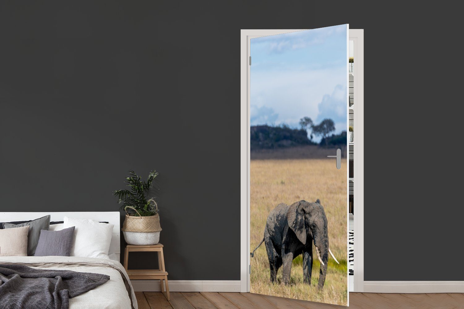 MuchoWow Türtapete Elefant - - Tür, 75x205 Natur, Gras bedruckt, Türaufkleber, cm - Tiere Fototapete St), (1 Matt, für