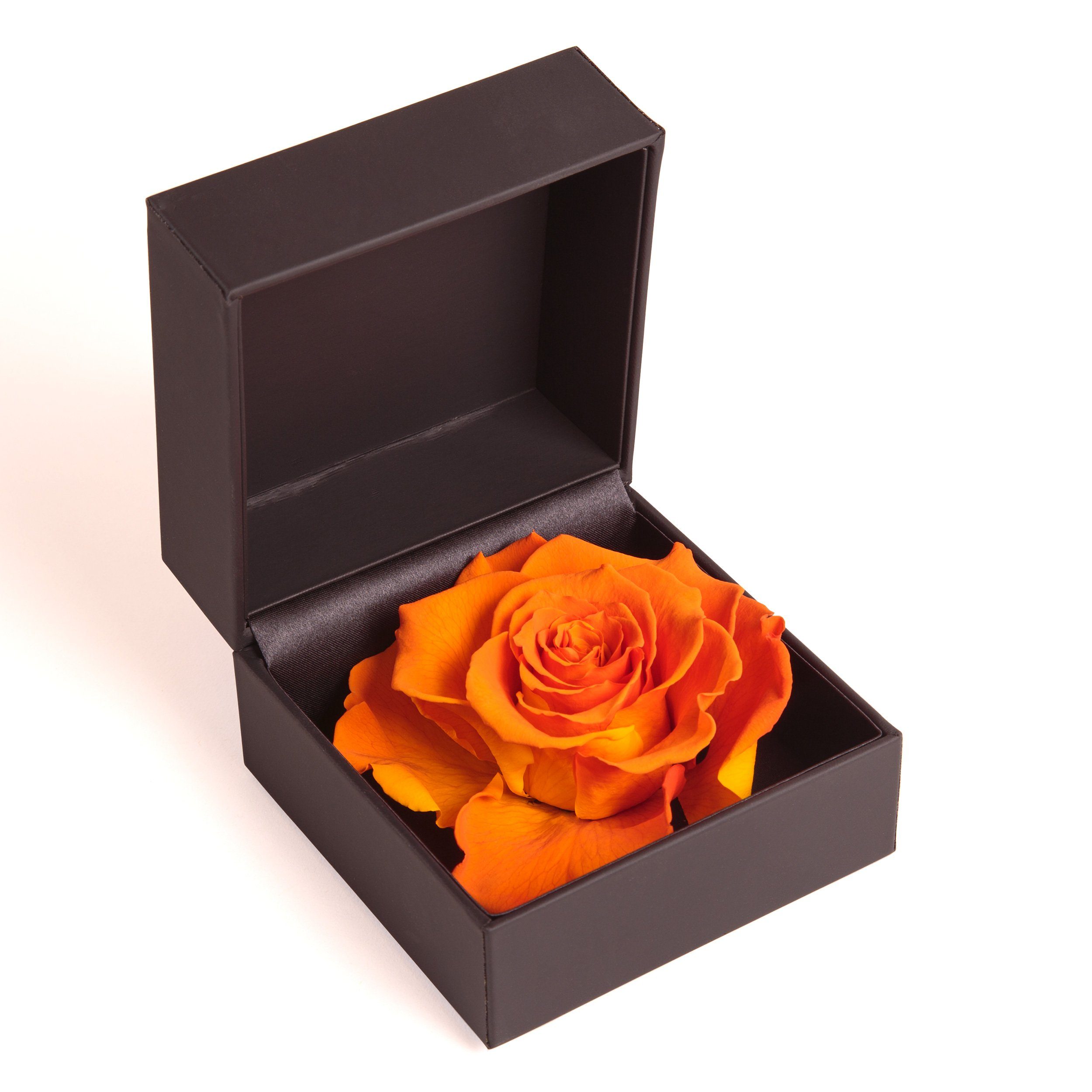Kunstblume Rosenbox Ringbox Groß cm, Ringdose Langlebige Heidelberg, in Rose 9 Orange Infinity konserviert Rose Rose, Höhe Box SCHULZ ROSEMARIE