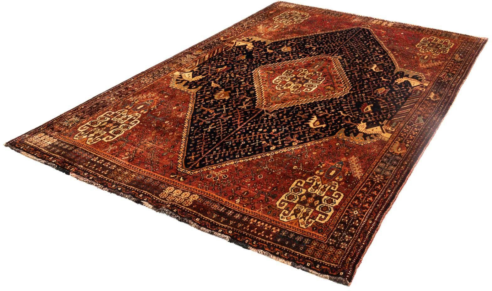 Zertifikat 1 cm, morgenland, Höhe: 183 Shiraz mm, mit 257 Wollteppich x Medaillon rechteckig, Unikat