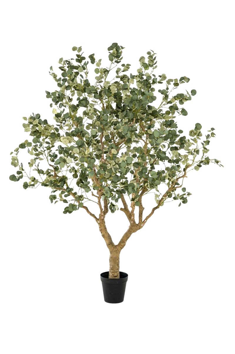 Kunstbaum Künstlicher Eucalyptus - Kalli, 240 cm, Emerald, Höhe 240 cm