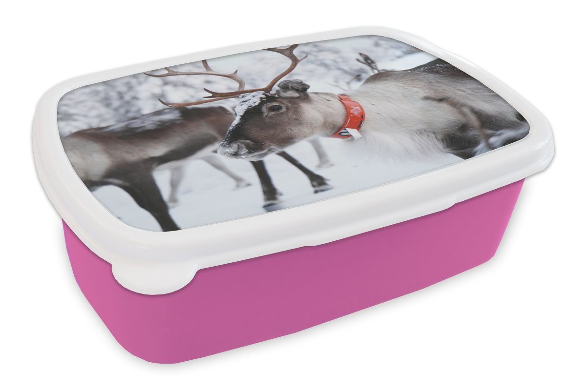 MuchoWow Lunchbox Ein Rentier vor einem unscharfen Schneehintergrund, Kunststoff, (2-tlg), Brotbox für Erwachsene, Brotdose Kinder, Snackbox, Mädchen, Kunststoff rosa