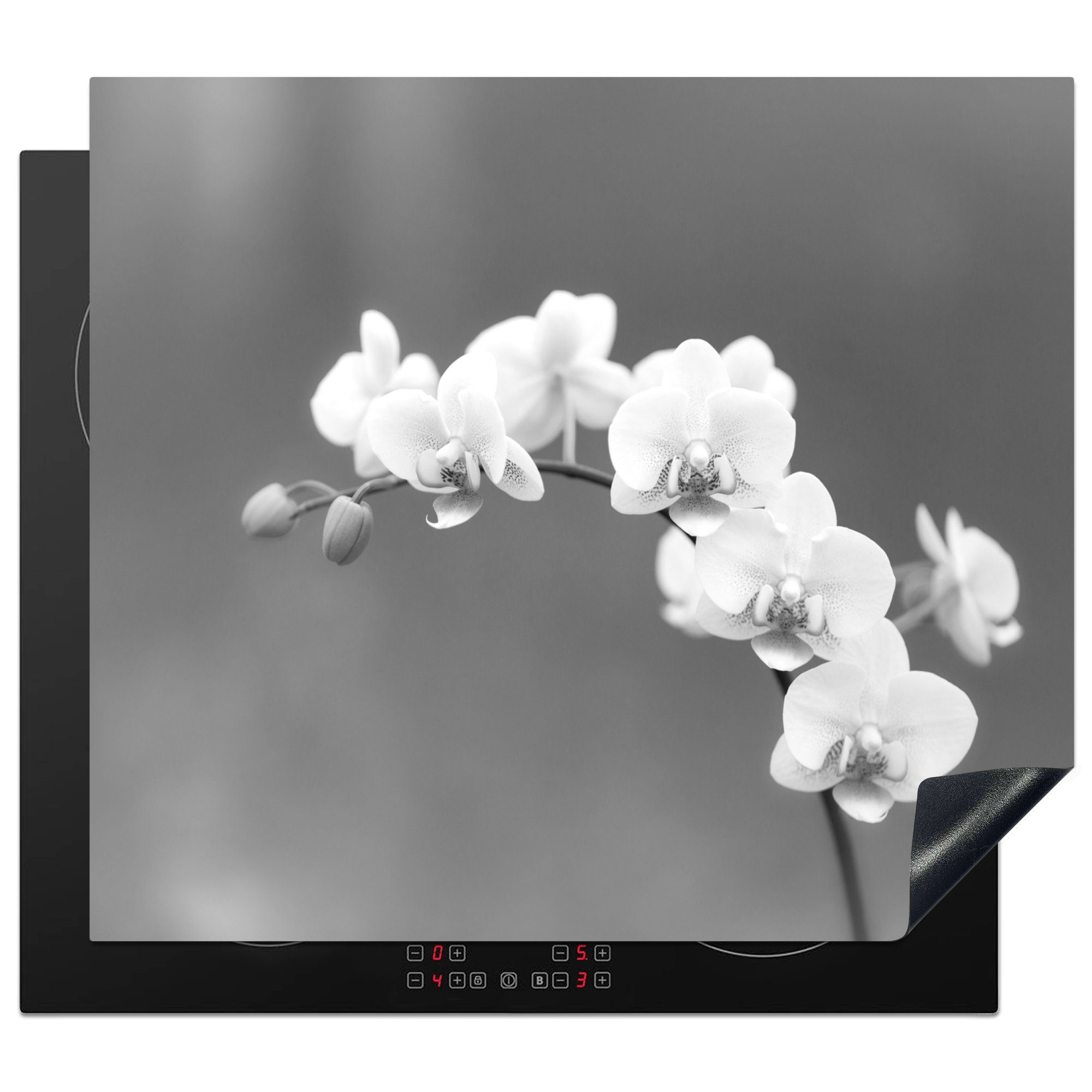 - Induktionskochfeld - Küchen Blumen Herdblende-/Abdeckplatte MuchoWow - Vinyl, (1 Weiß Lila, tlg), Pflanze Orchidee für cm, Dekoration 58x51 Induktionsherd, -