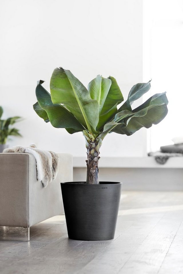 Thumbnail - ECOPOTS Blumentopf AMSTERDAM Dark Grey, BxTxH: 40x40x35 cm, mit Wasserreservoir