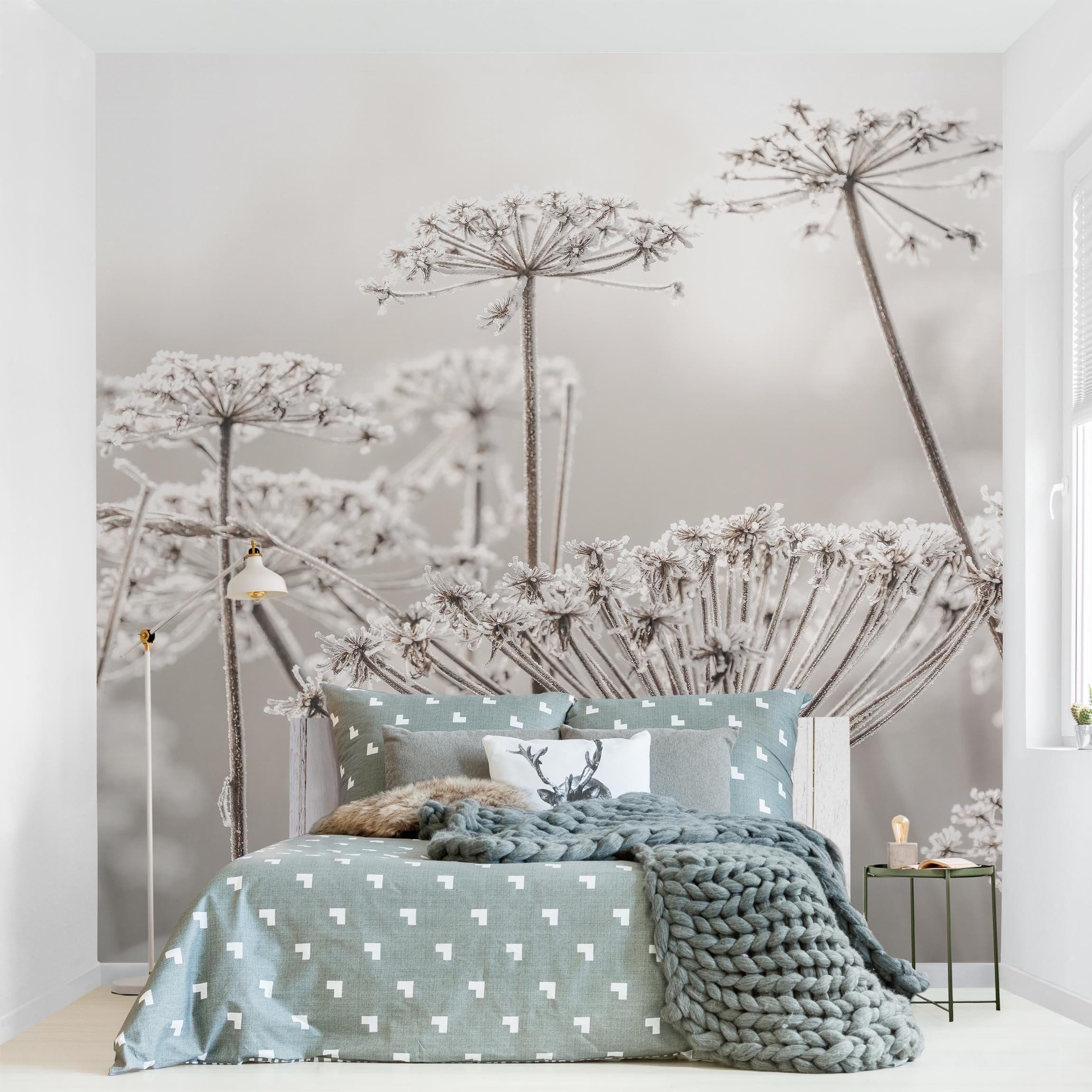 Bilderdepot24 Fototapete Blumen Doldenblüten Frost Blumentapete günstig online kaufen