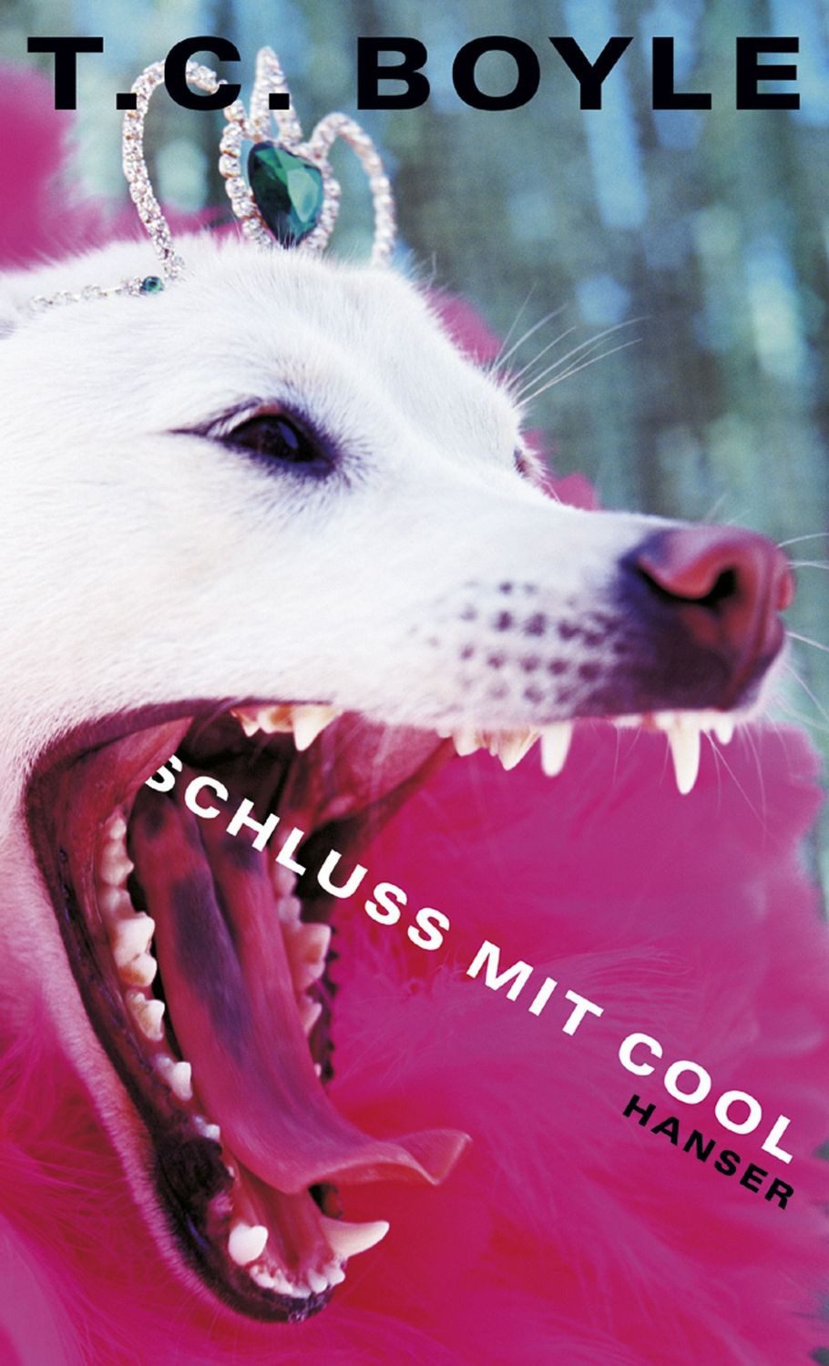 Schluß mit cool / T. C. Boyle