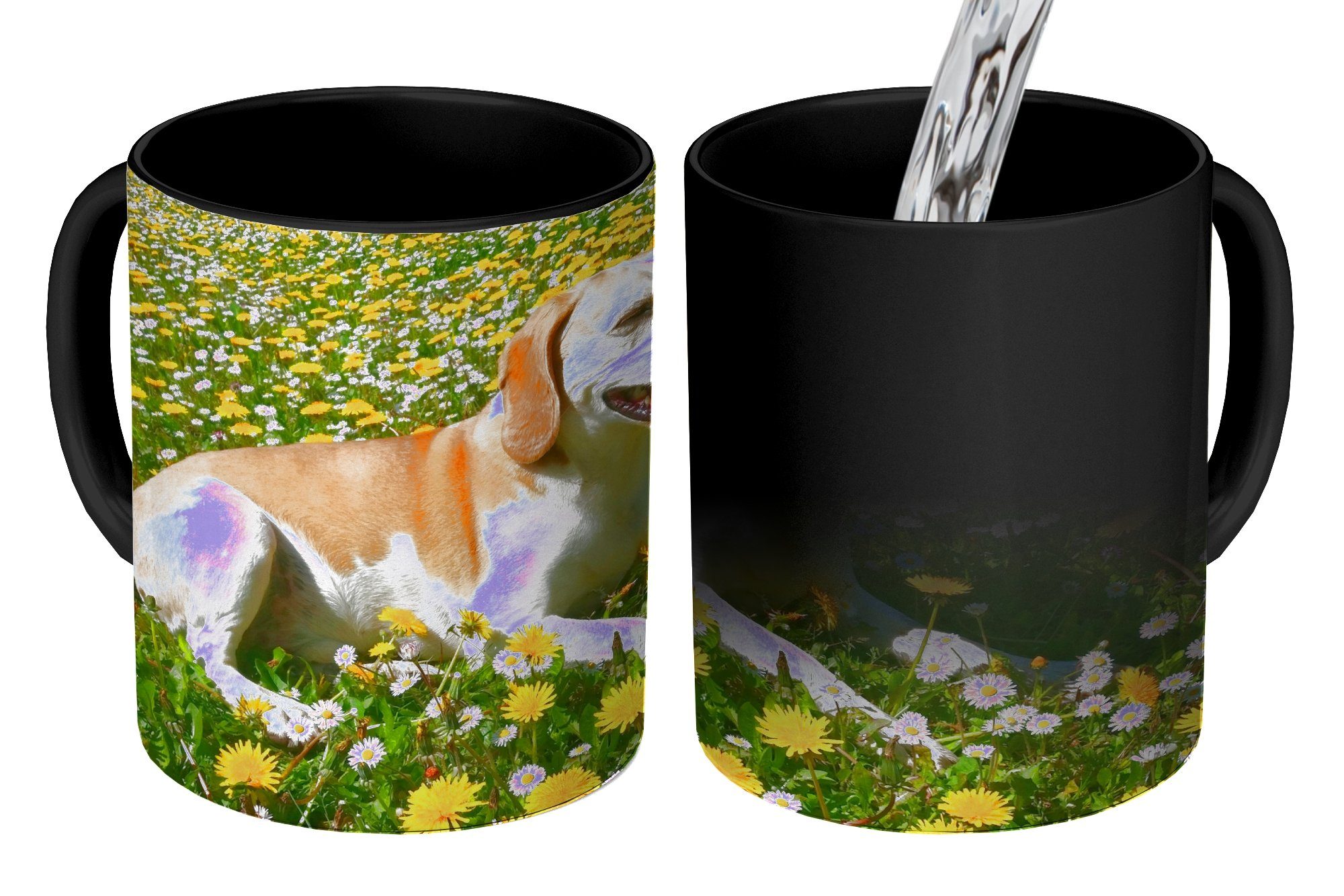 MuchoWow Tasse Beagle liegt zwischen den gelben Blumen, Keramik, Farbwechsel, Kaffeetassen, Teetasse, Zaubertasse, Geschenk