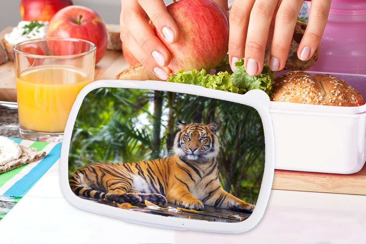 MuchoWow Lunchbox Tiger - - Wald und für Kunststoff, Brotbox für Dschungel, Tiere - Mädchen Jungs Kinder Brotdose, Erwachsene, (2-tlg), weiß und