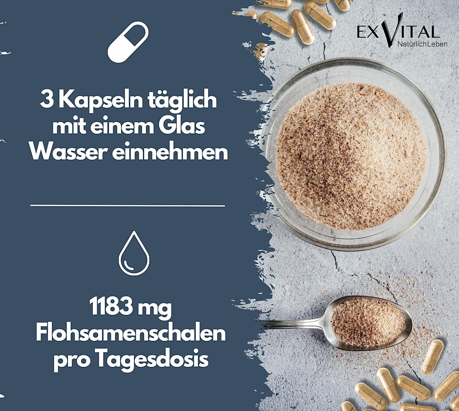 Colon Ex, 90 Kapseln mit Flohsamenschalen und Magnesium, Darmaktiv Kapseln, 81 g