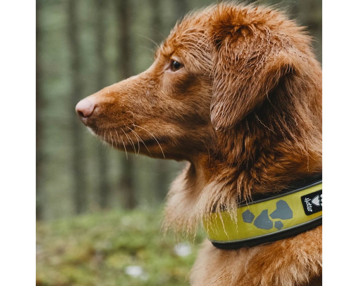 Thumbnail - HURTTA Hunde-Halsband Weekend Warrior Halsband neongelb