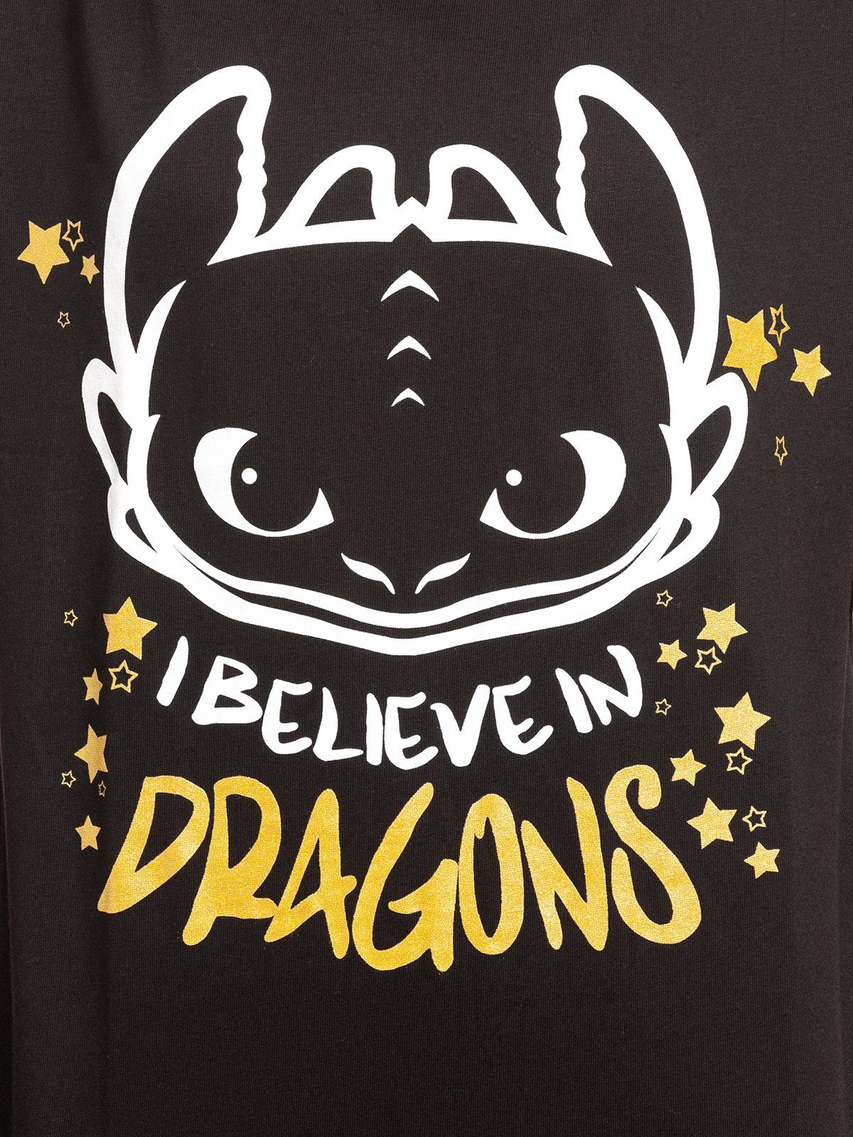Dragons T-Shirt Dragons, Drachenzähmen leicht gemacht I Believe
