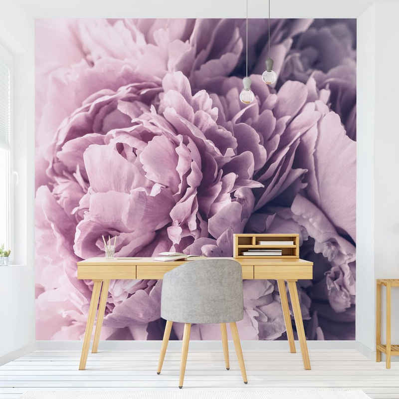 Bilderdepot24 Fototapete Rosen Lila Pfingstrosenblüten Blumen Natur Pflanzen Wanddeko, Glatt, Matt, (Vliestapete inkl. Kleister oder selbstklebend), Wohnzimmer Schlafzimmer Küche Flur Motivtapete Vliestapete Wandtapete